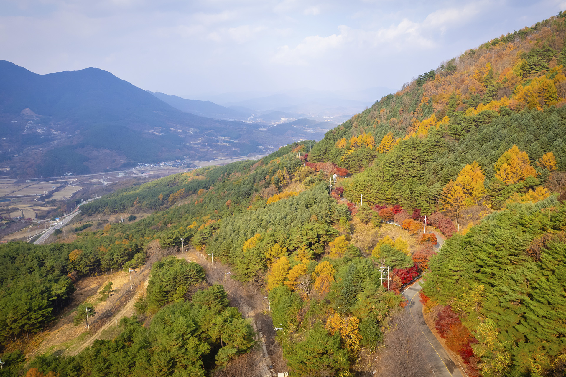 산청 밤머리재
