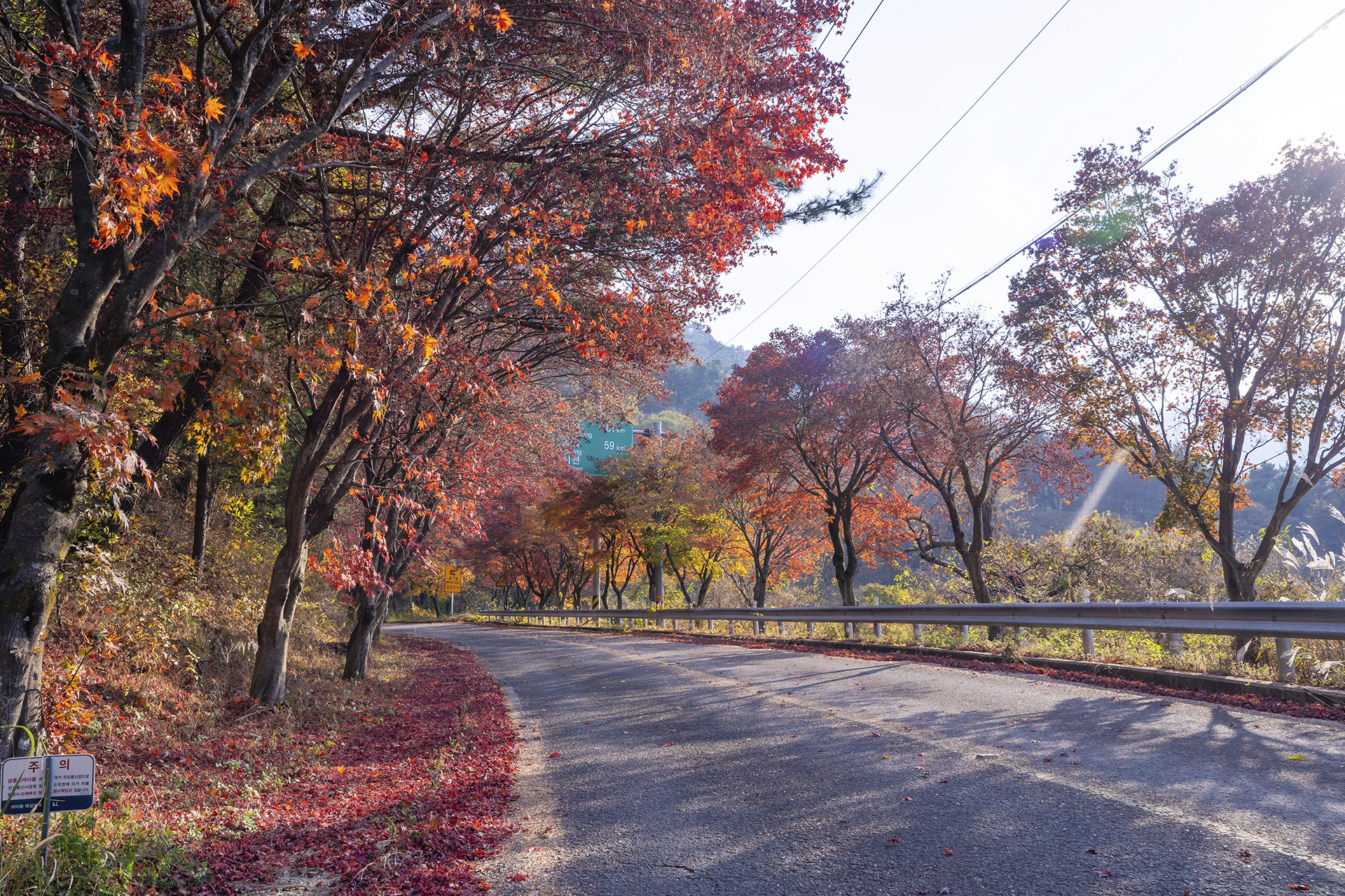 산청 밤머리재