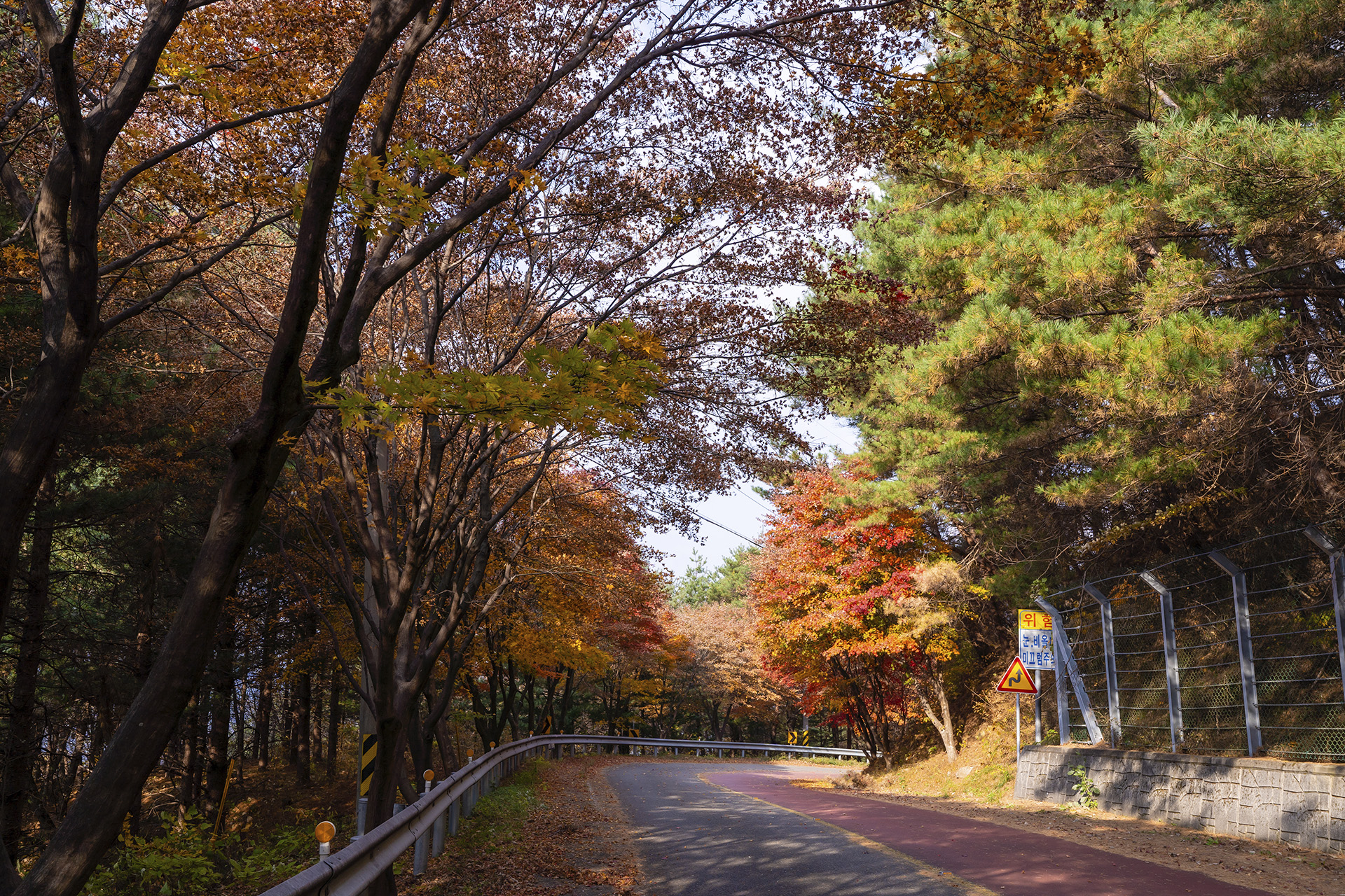 산청 밤머리재
