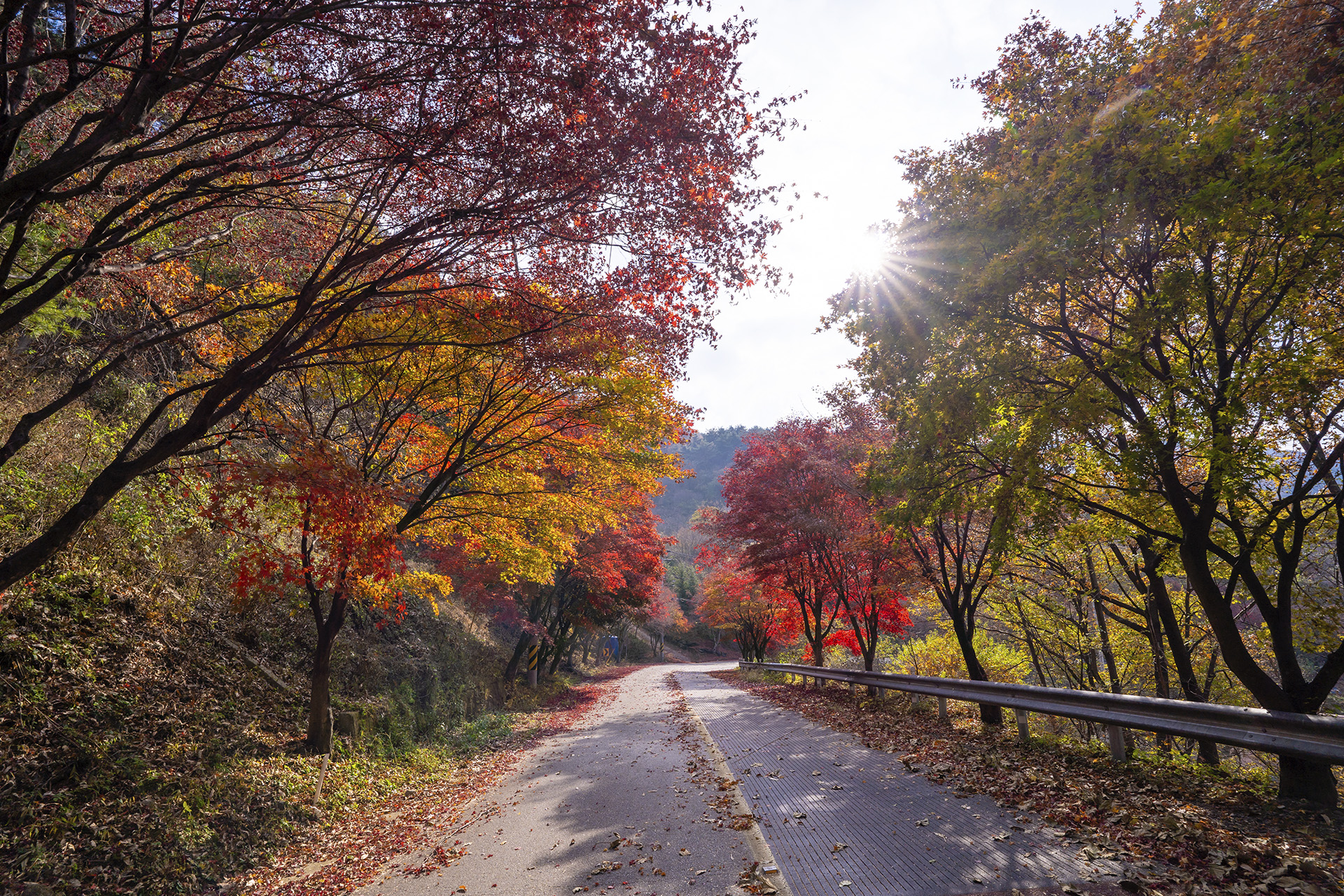산청 밤머리재