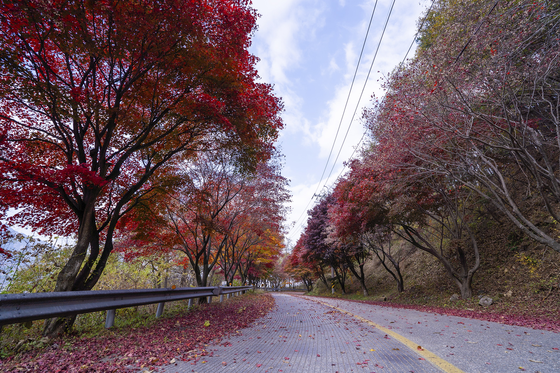 산청 밤머리재