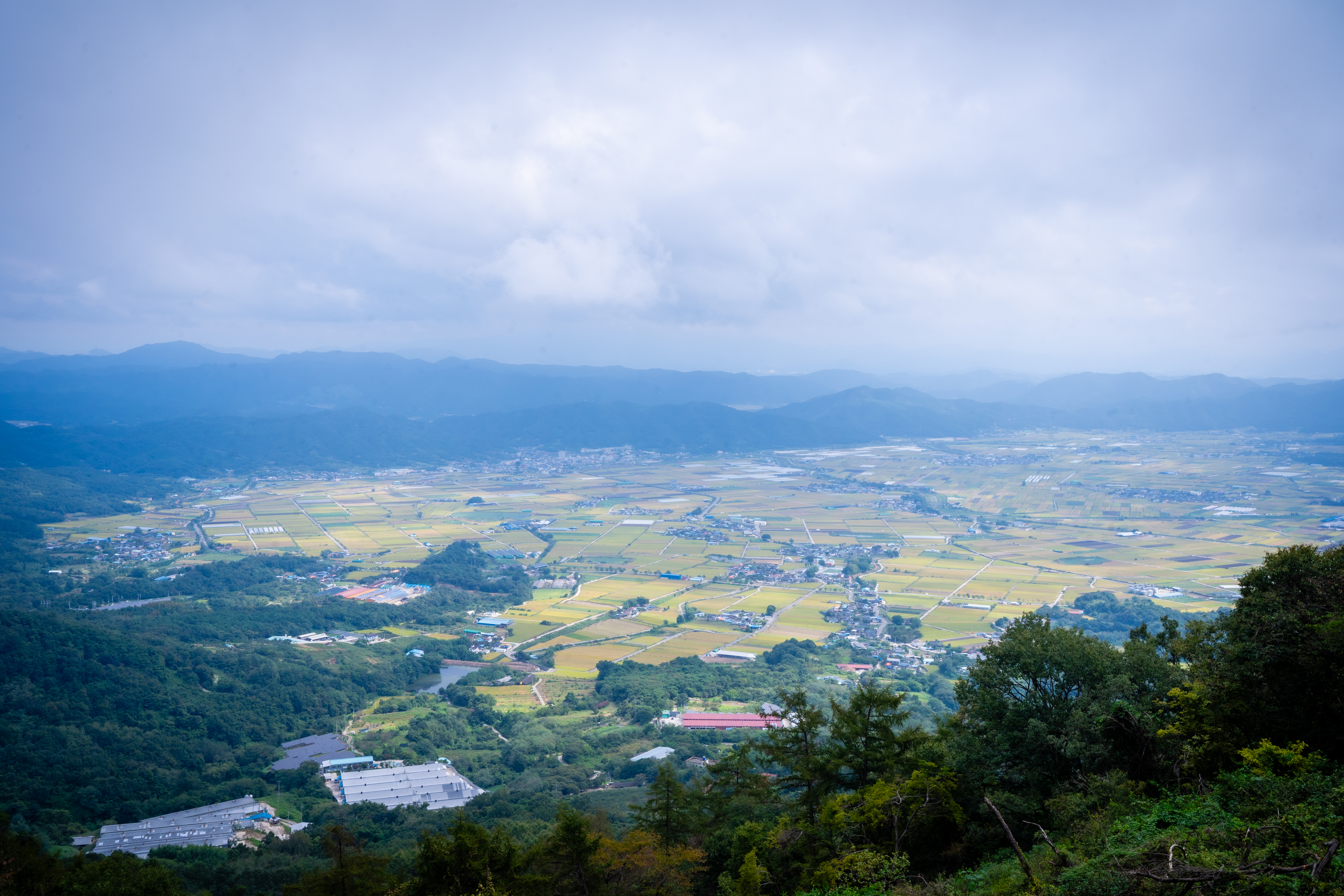 대암산 정상