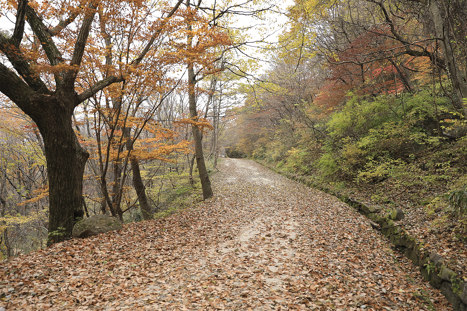 회남재숲길