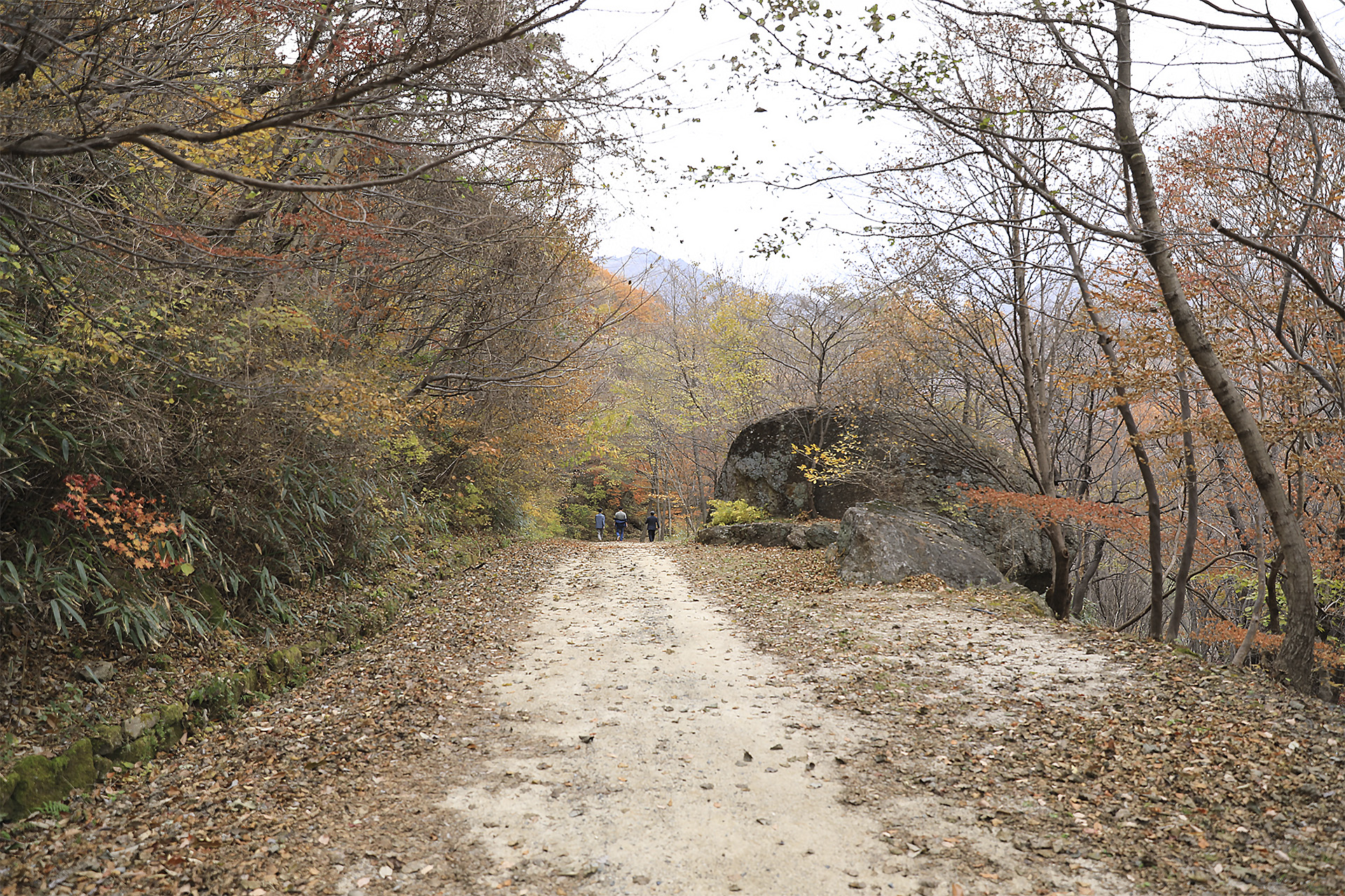 회남재숲길