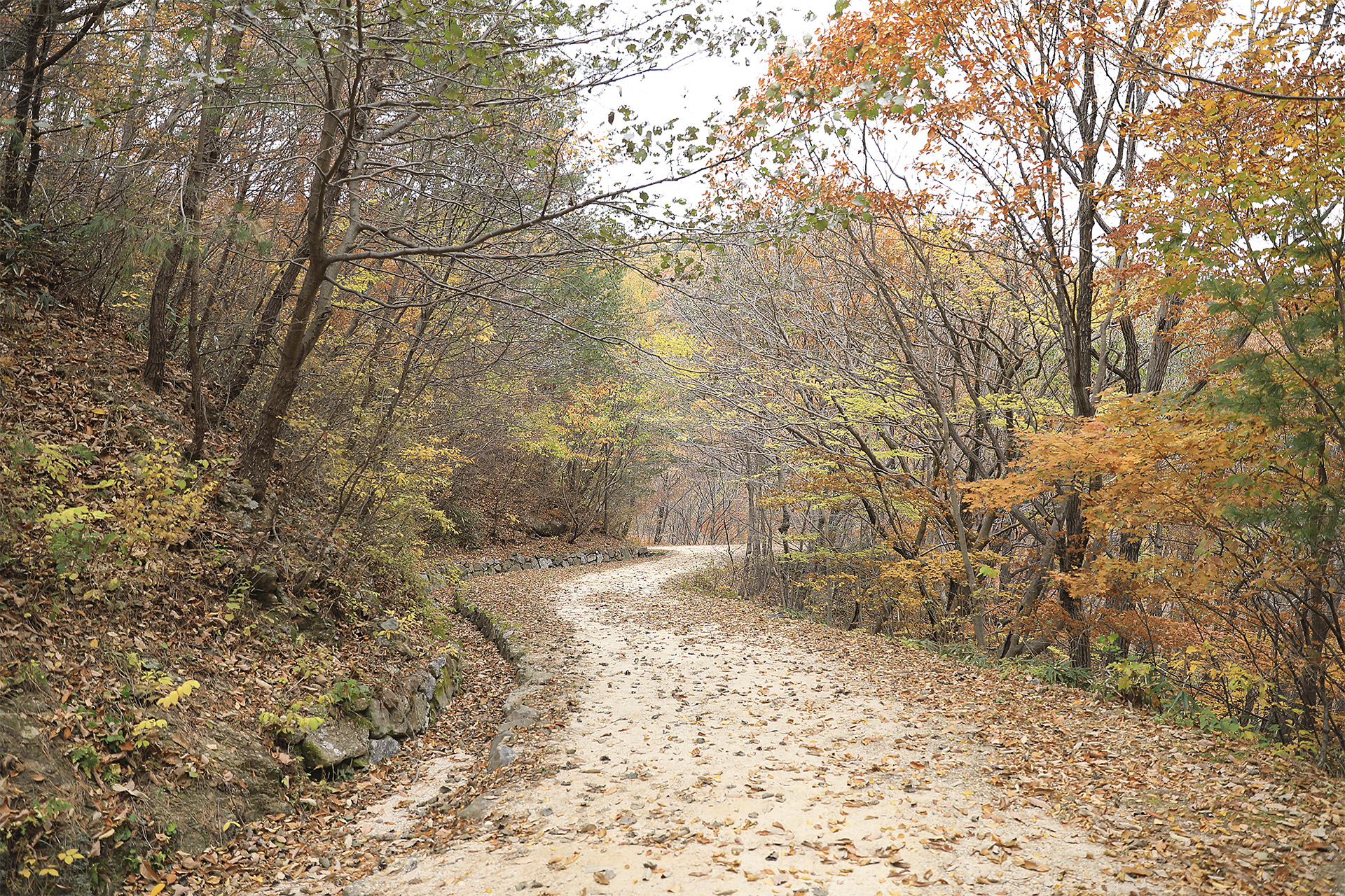 회남재숲길
