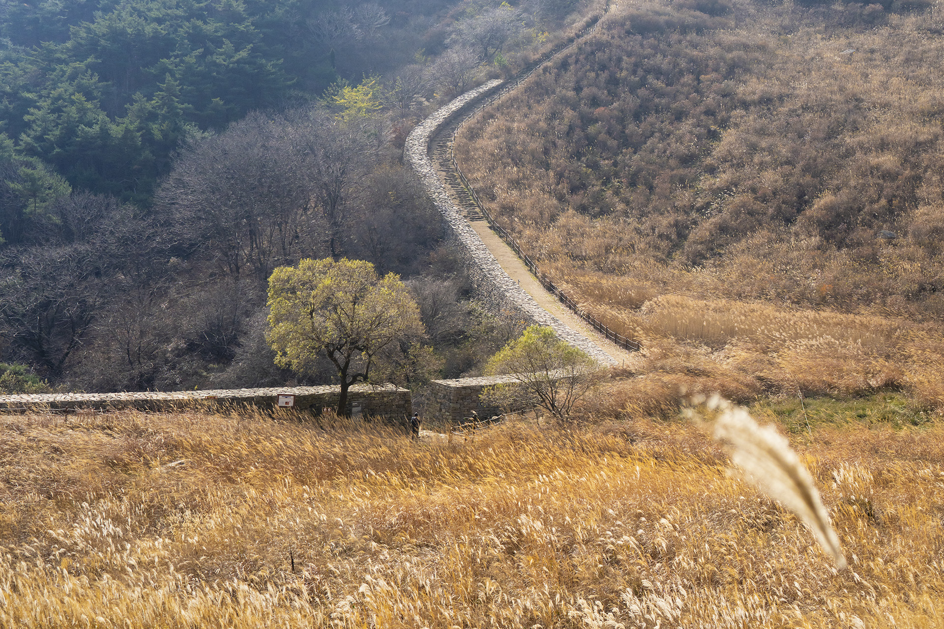 화황산 억새초원