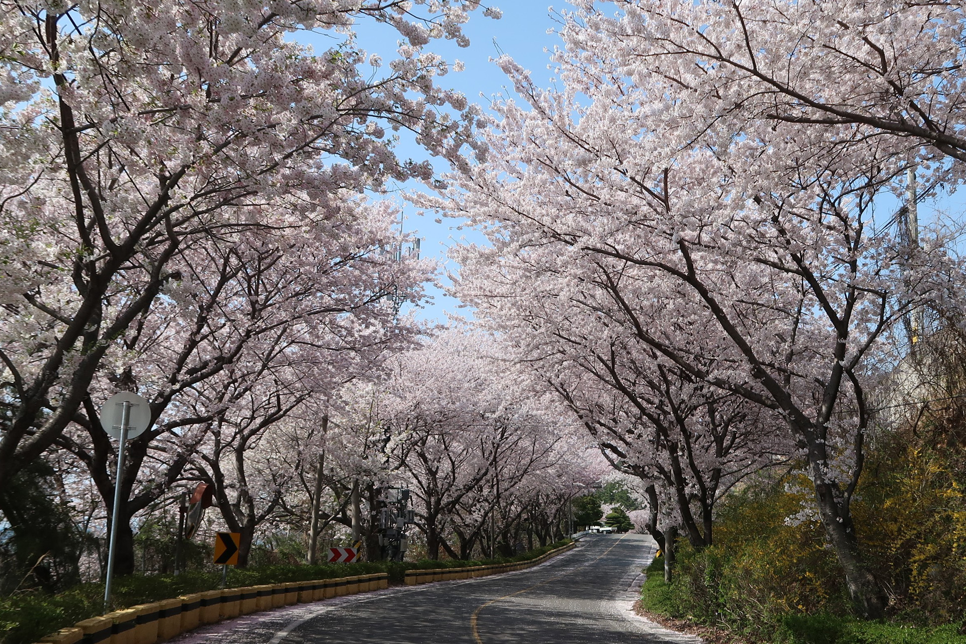 실안해안도로