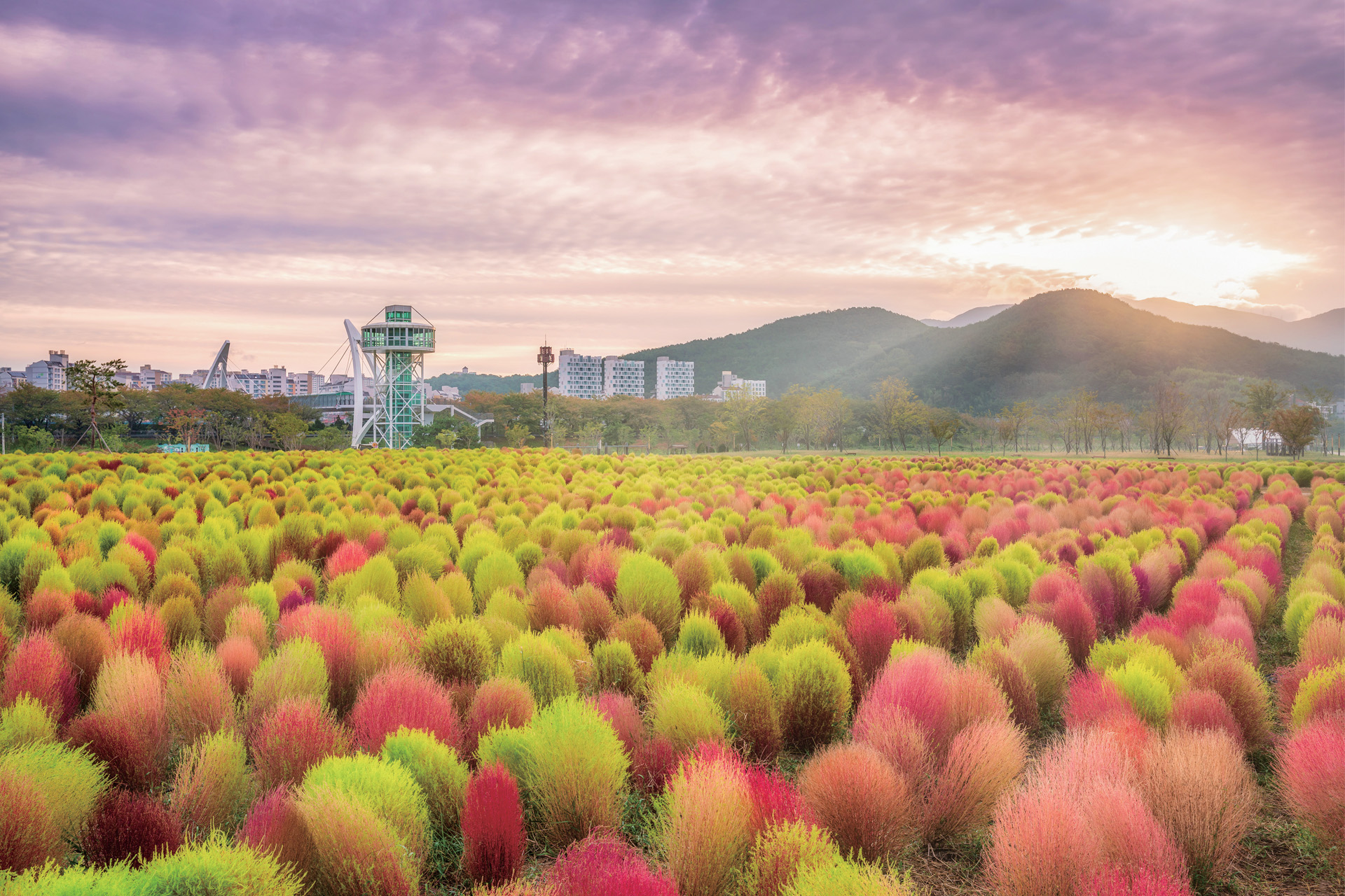 황산공원