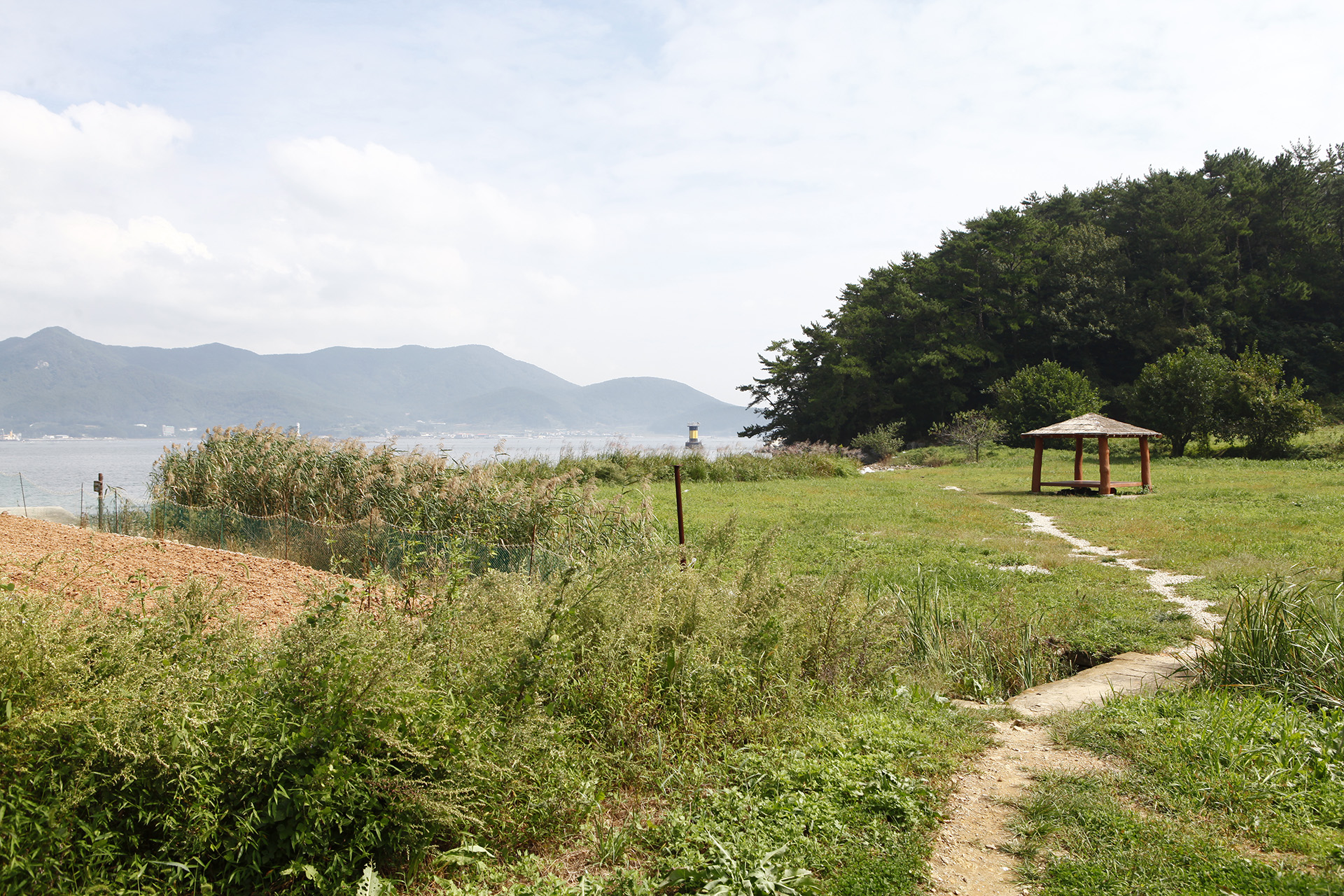 통영RCE 세자트라숲