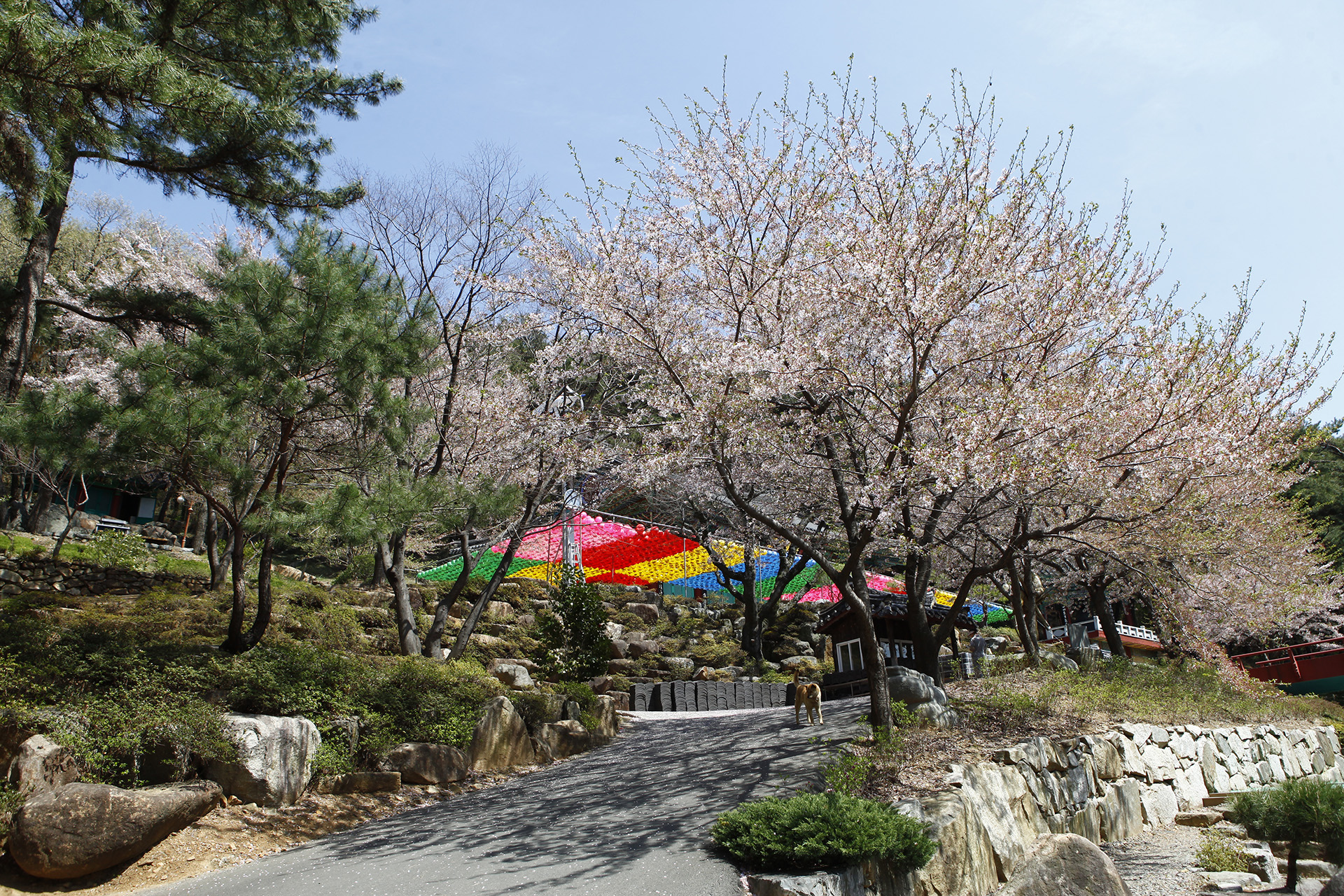 방어산 마애사