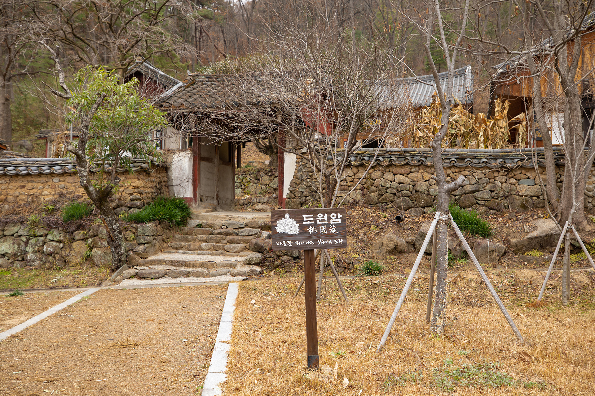 도원암