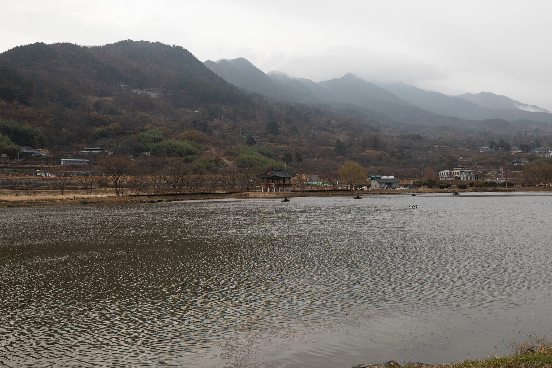 동정호