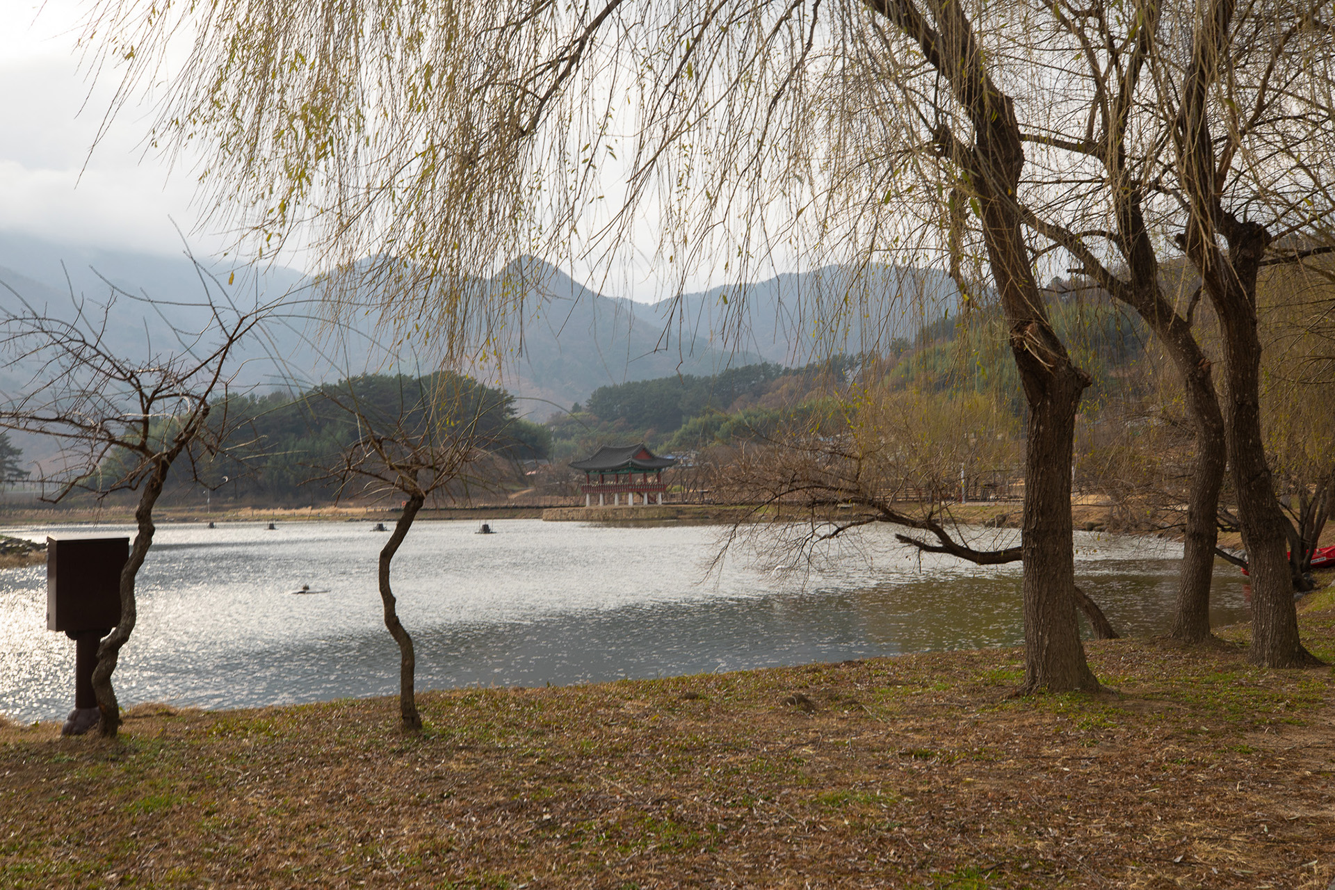 동정호