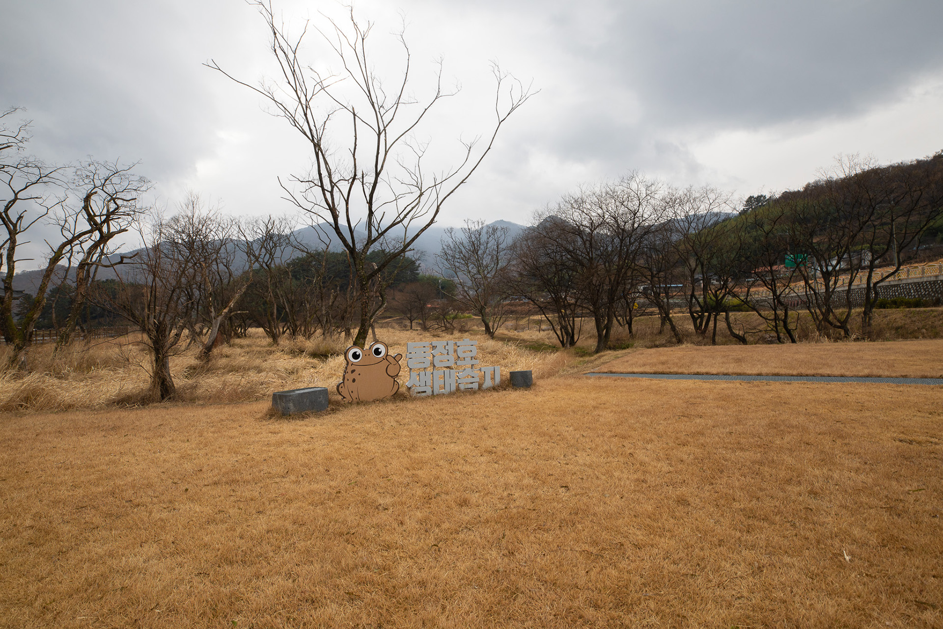 동정호
