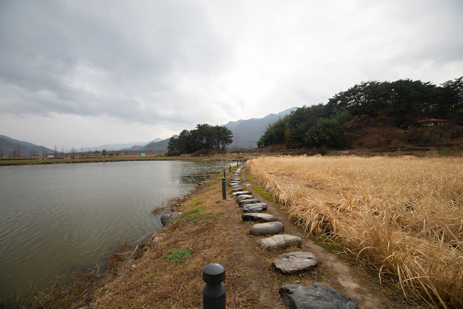 동정호