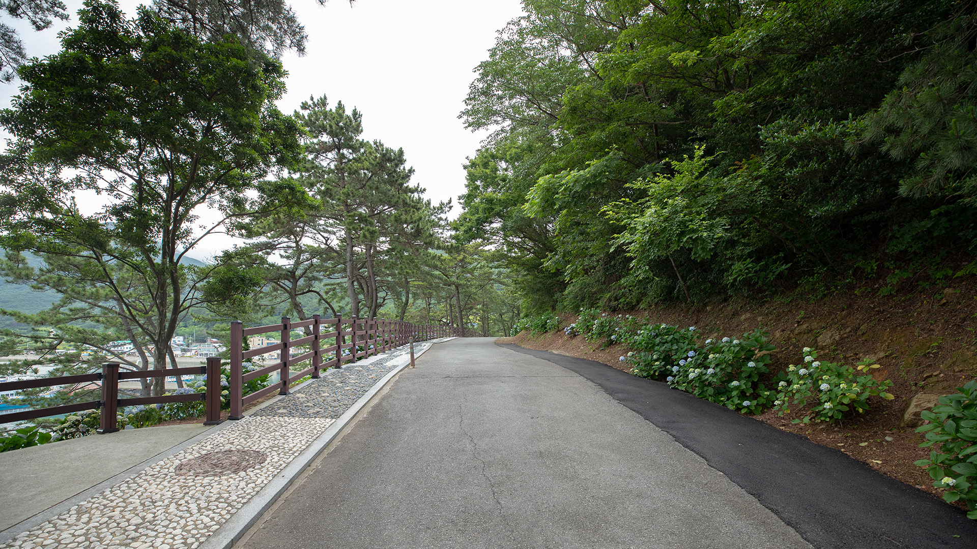 저구항