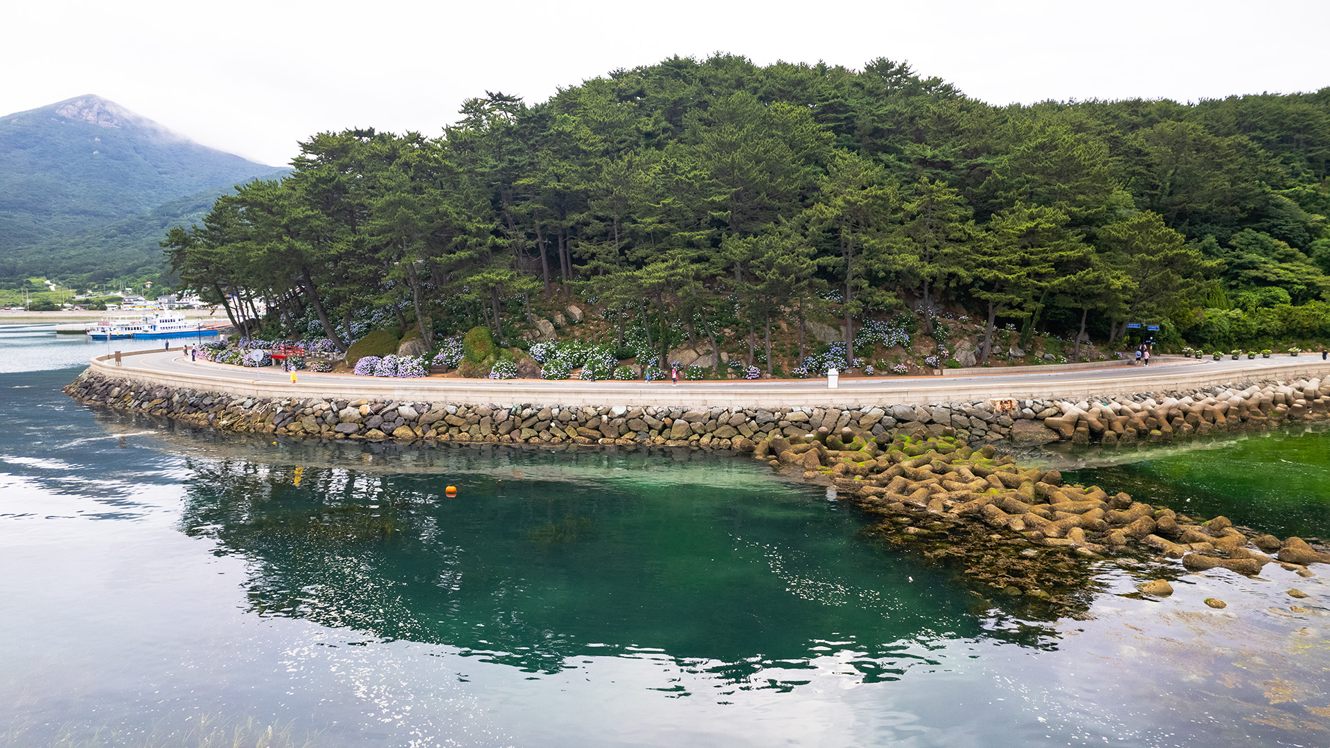 저구항