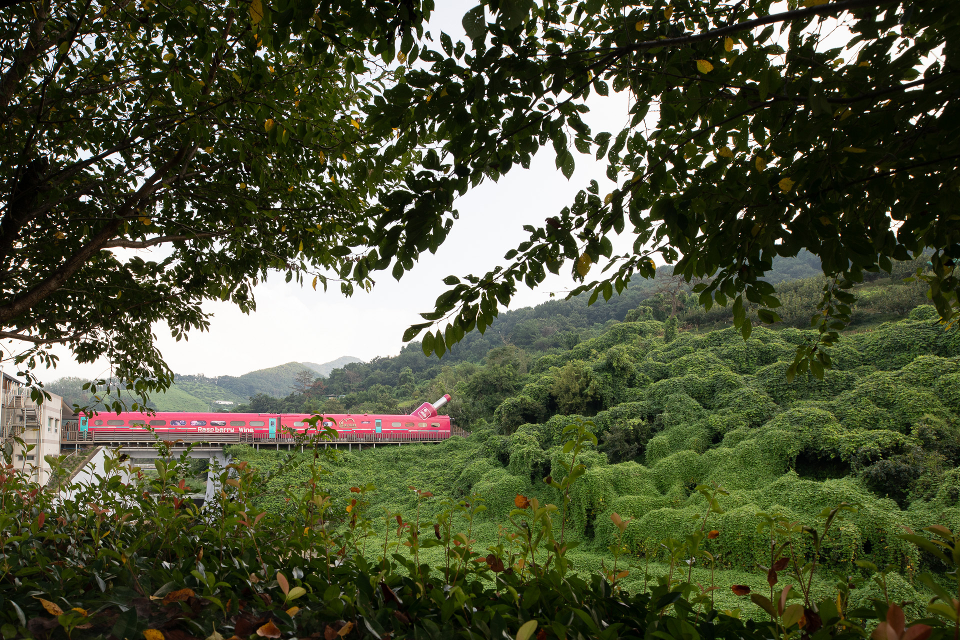 김해 낙동강레일파크