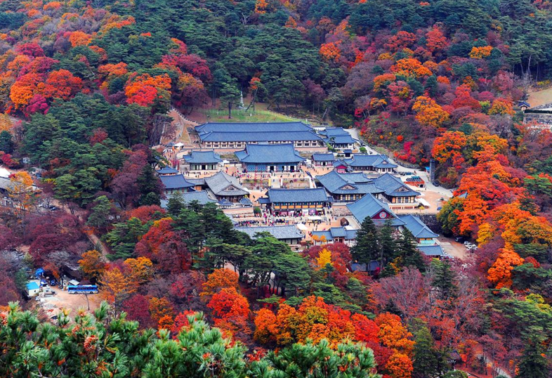 해인사