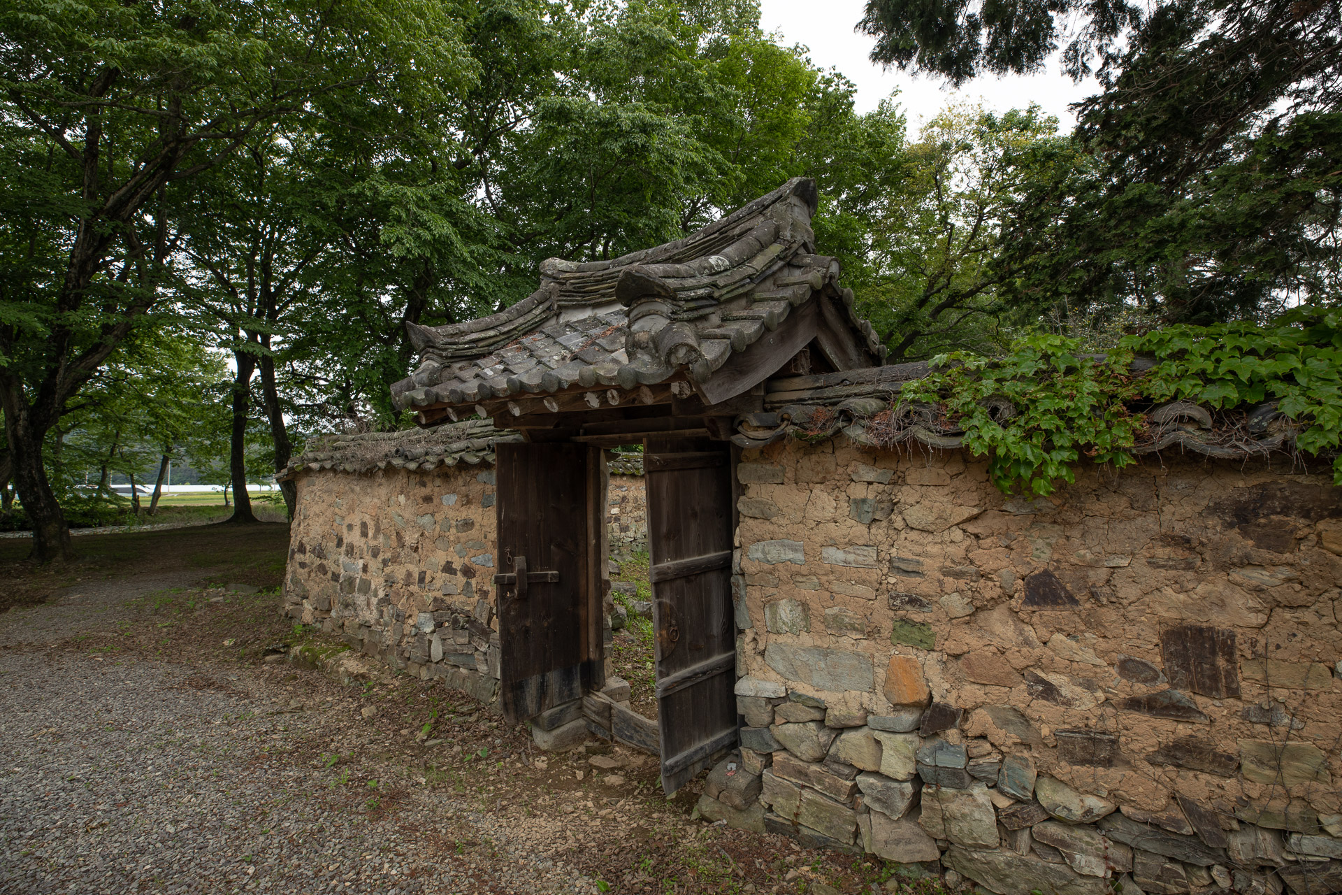 장산숲