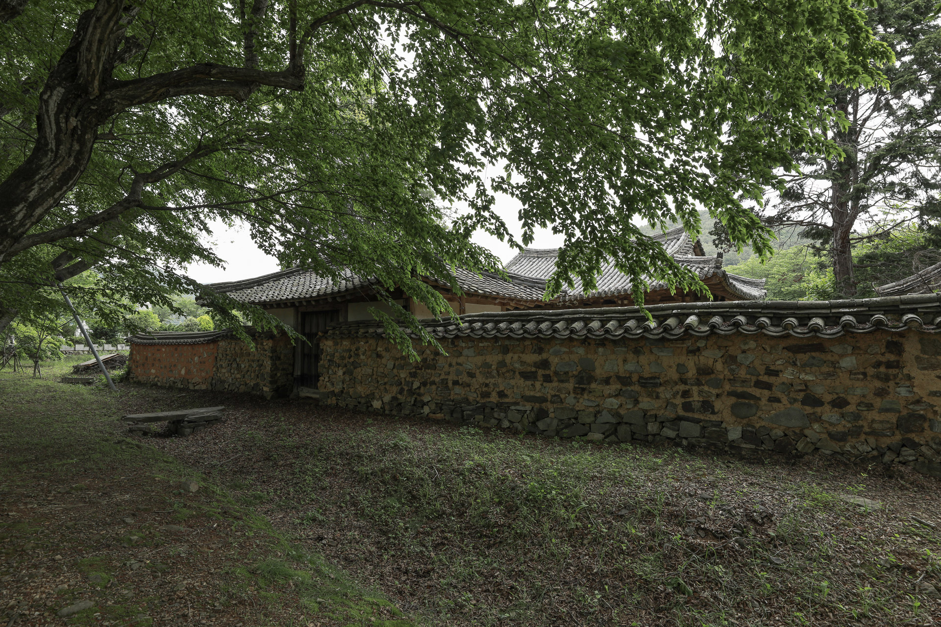 장산숲