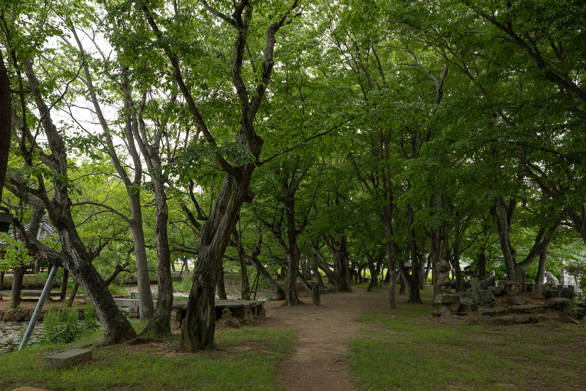 장산숲