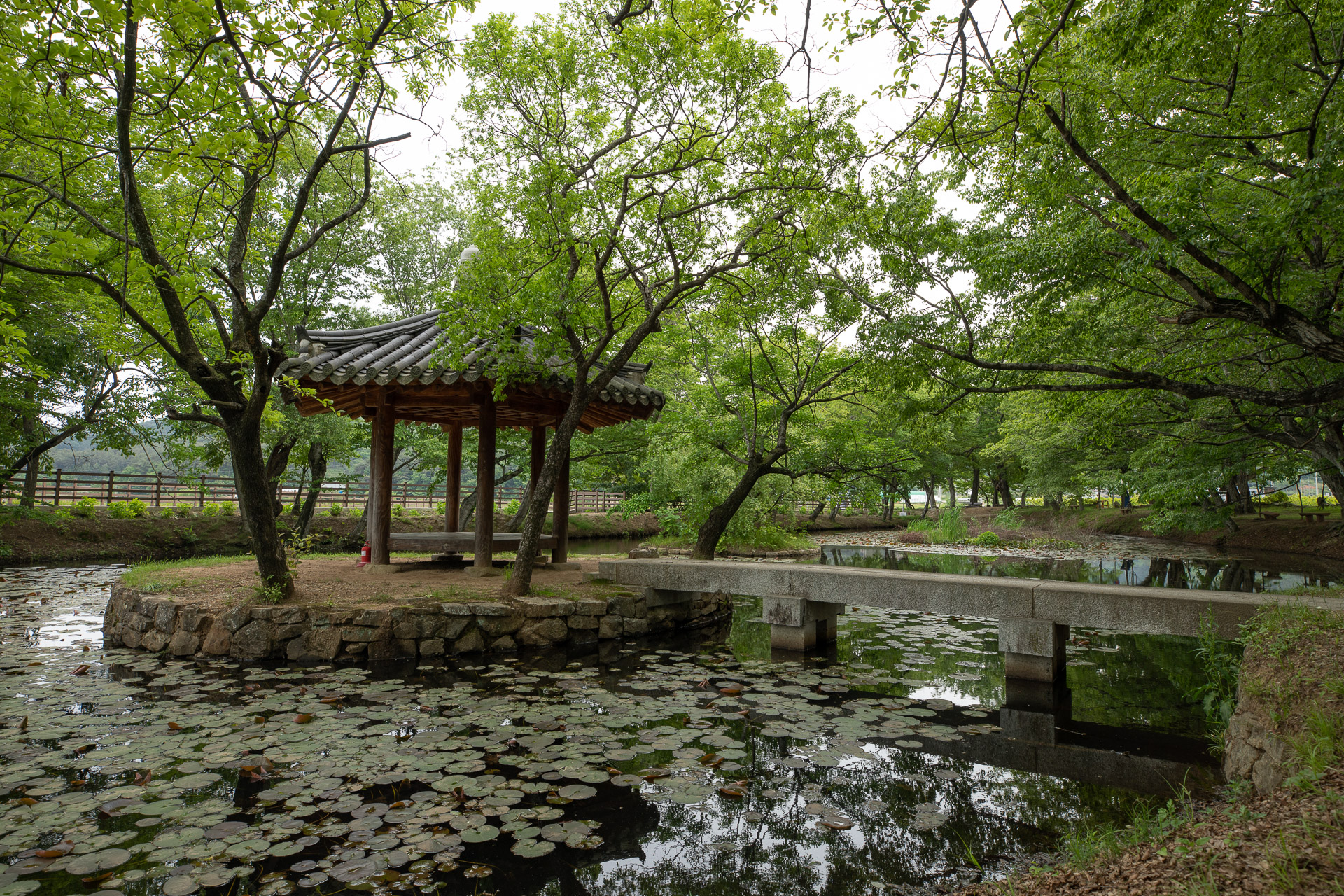 장산숲