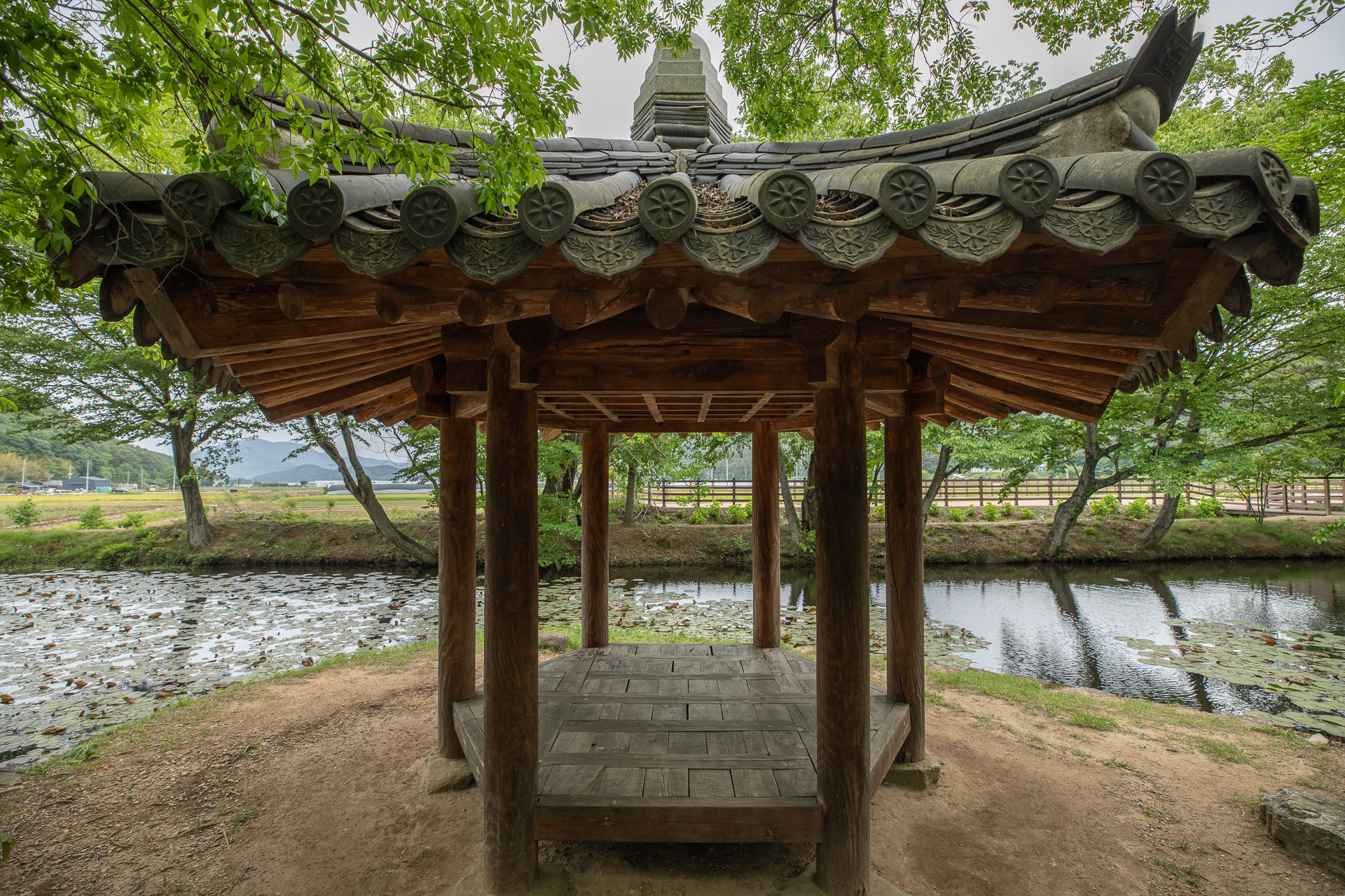 장산숲