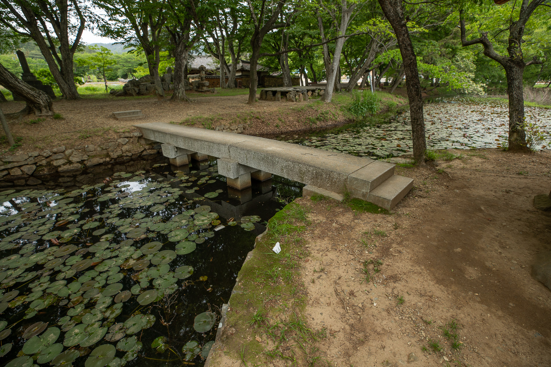 장산숲