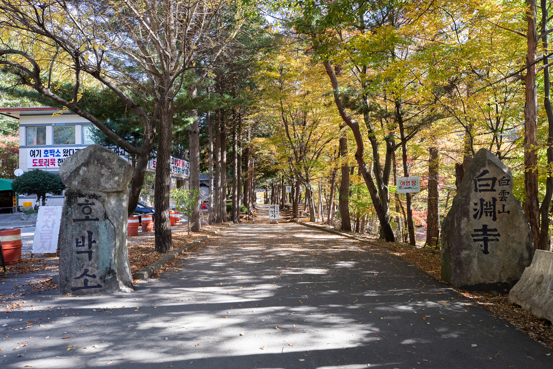 시례 호박소