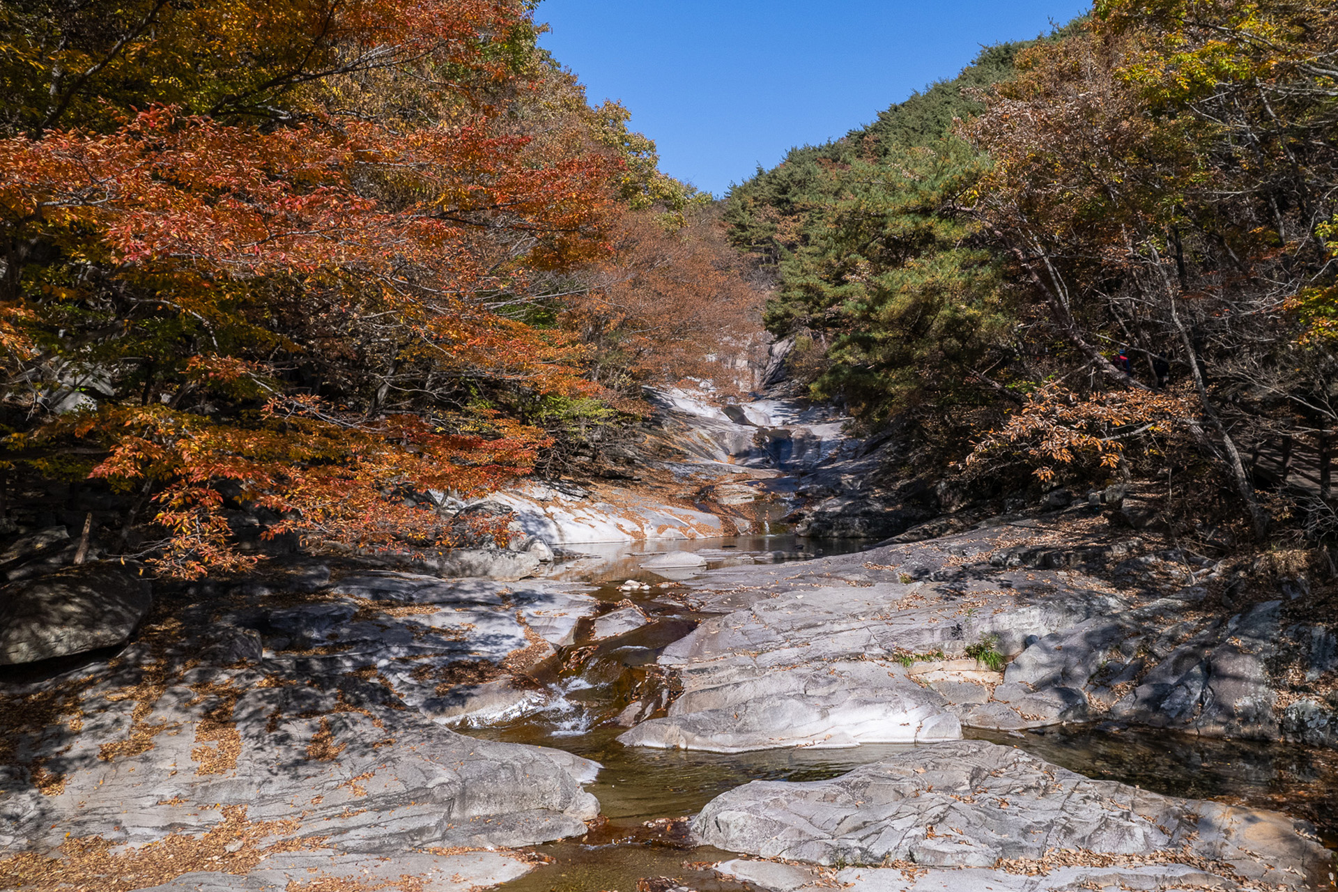 시례 호박소
