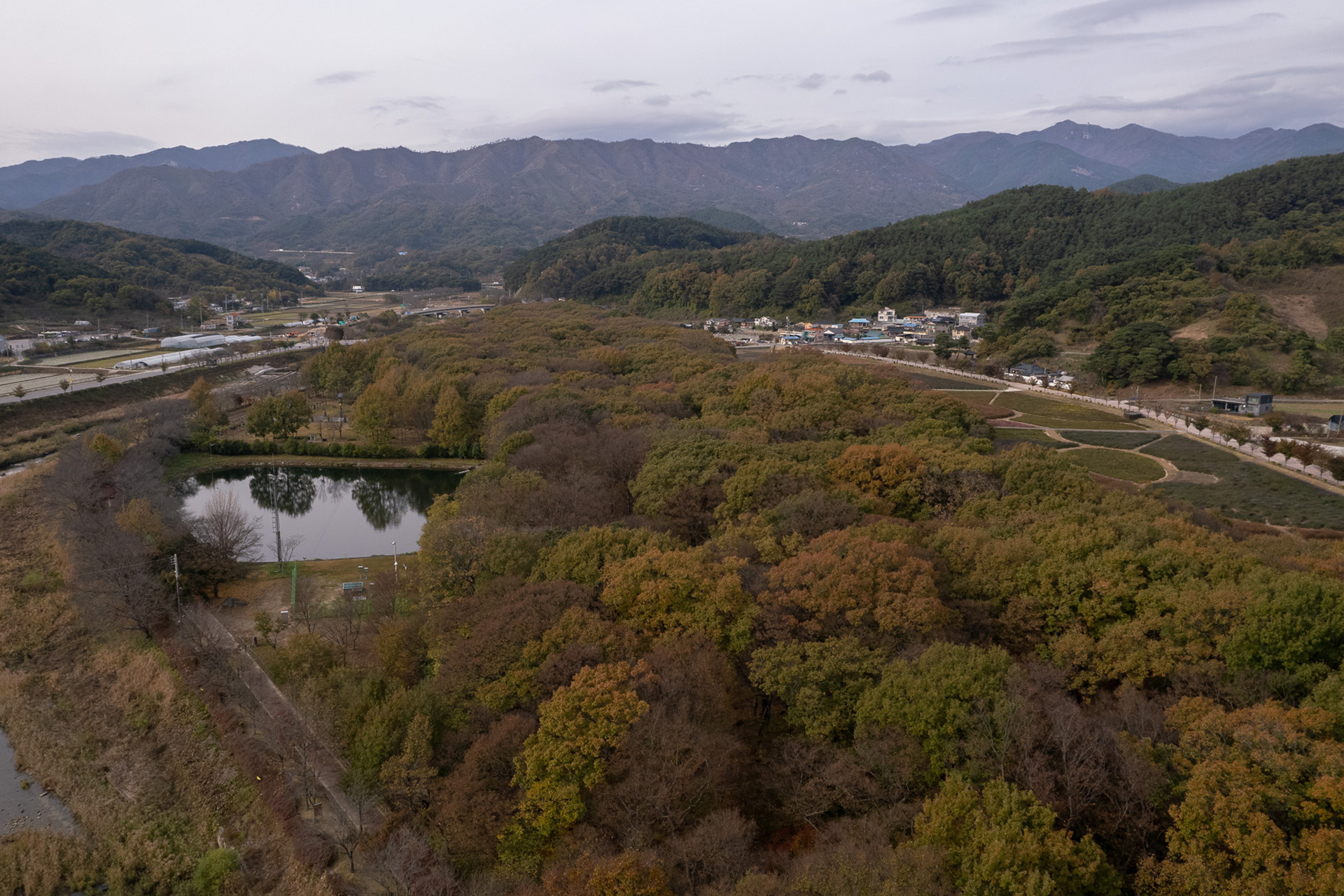 함양 상림숲