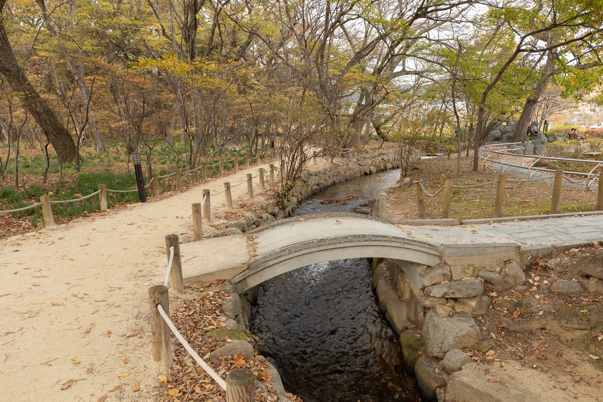 함양 상림숲