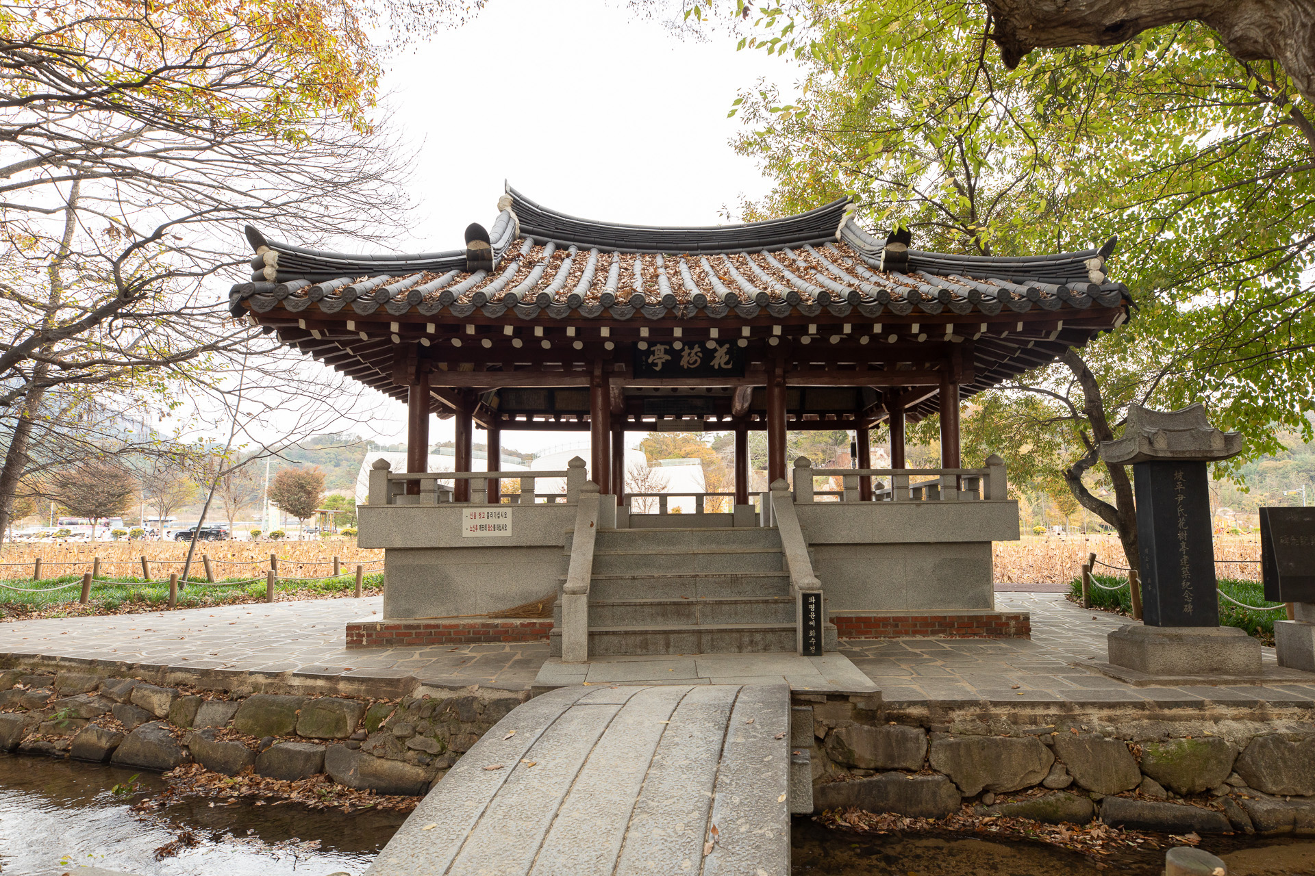 함양 상림숲
