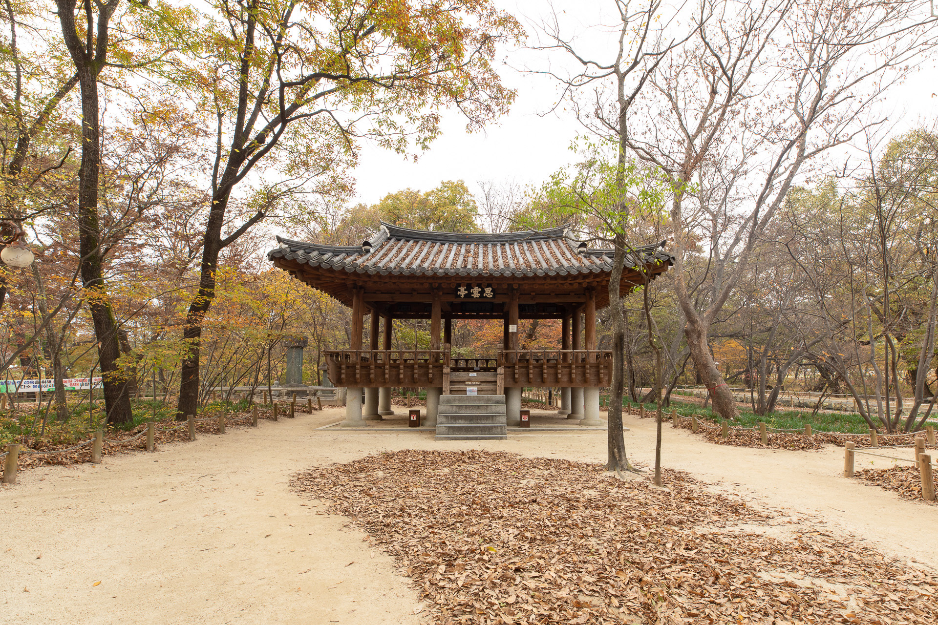 함양 상림숲