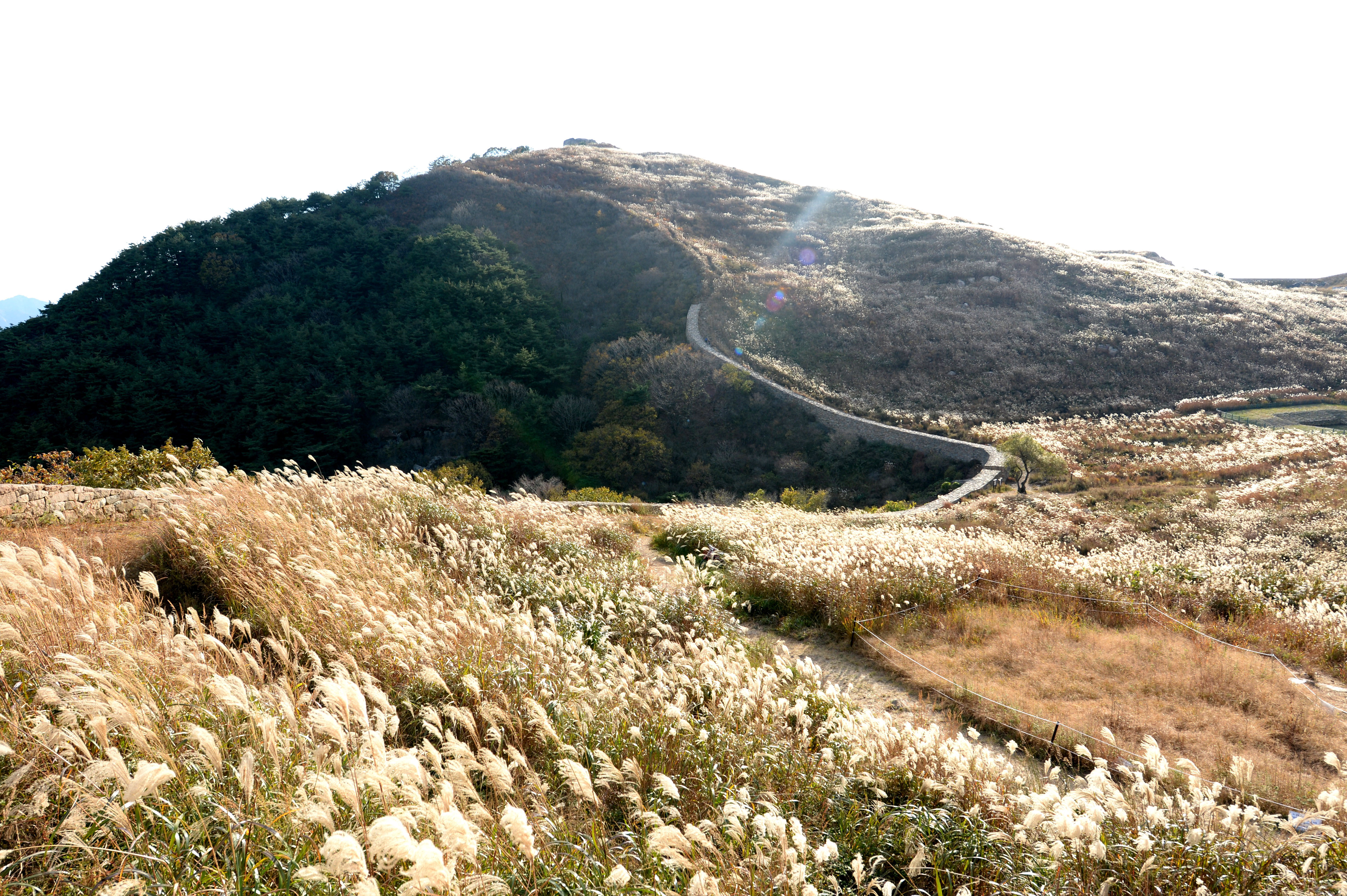 화왕산