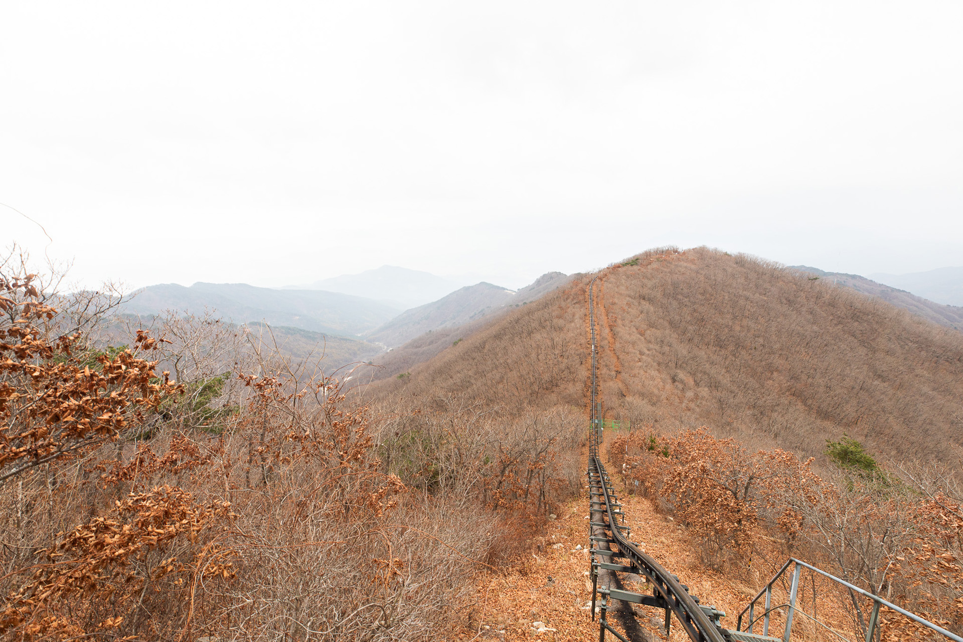 대봉산휴양밸리 모노레일