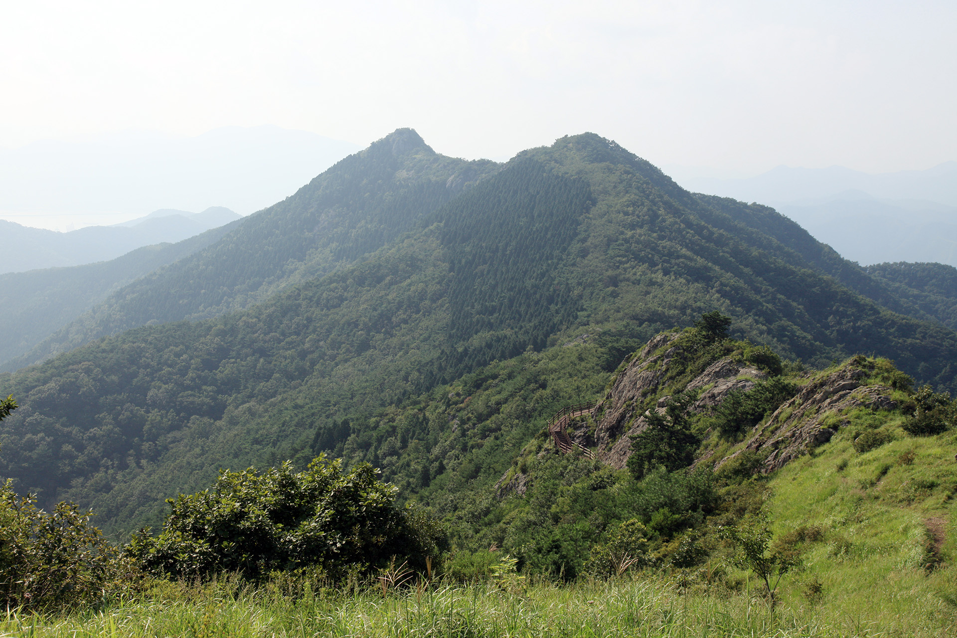 장복산