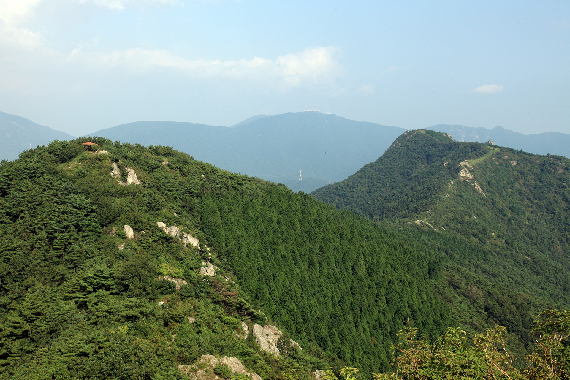 장복산