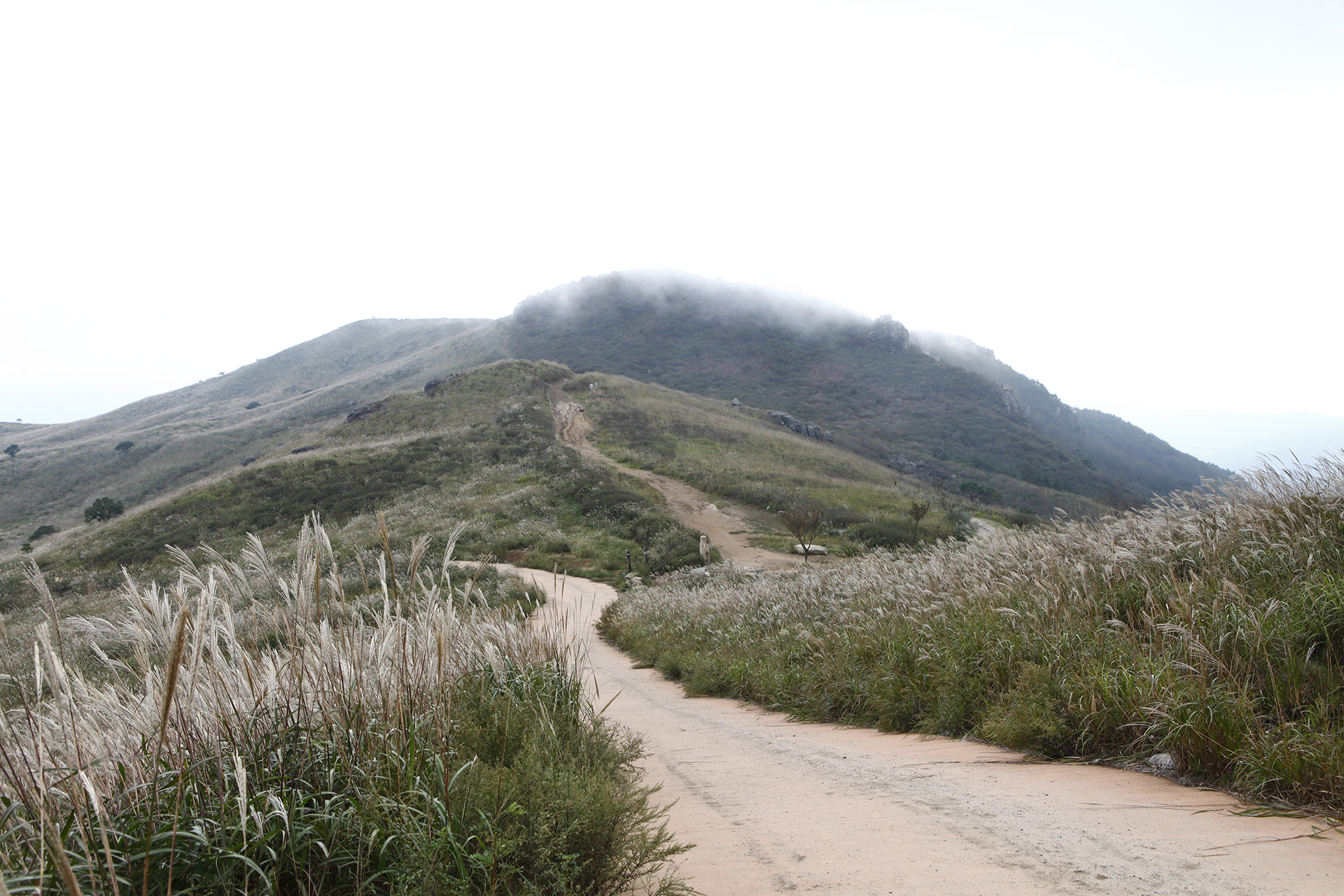 황매산