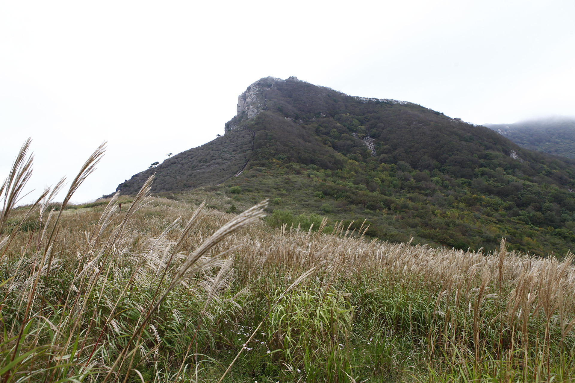 황매산