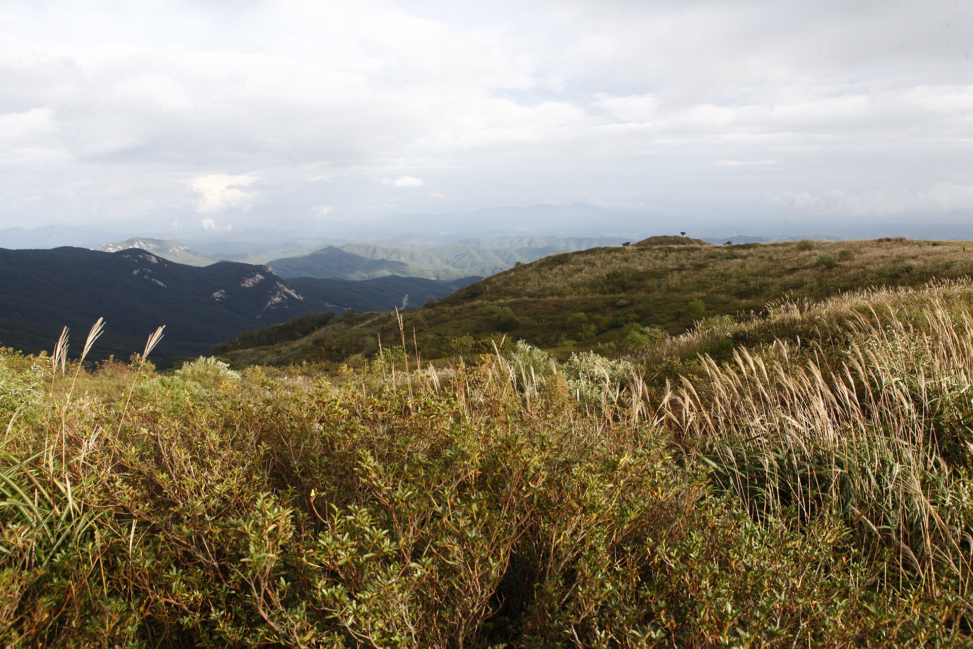 황매산