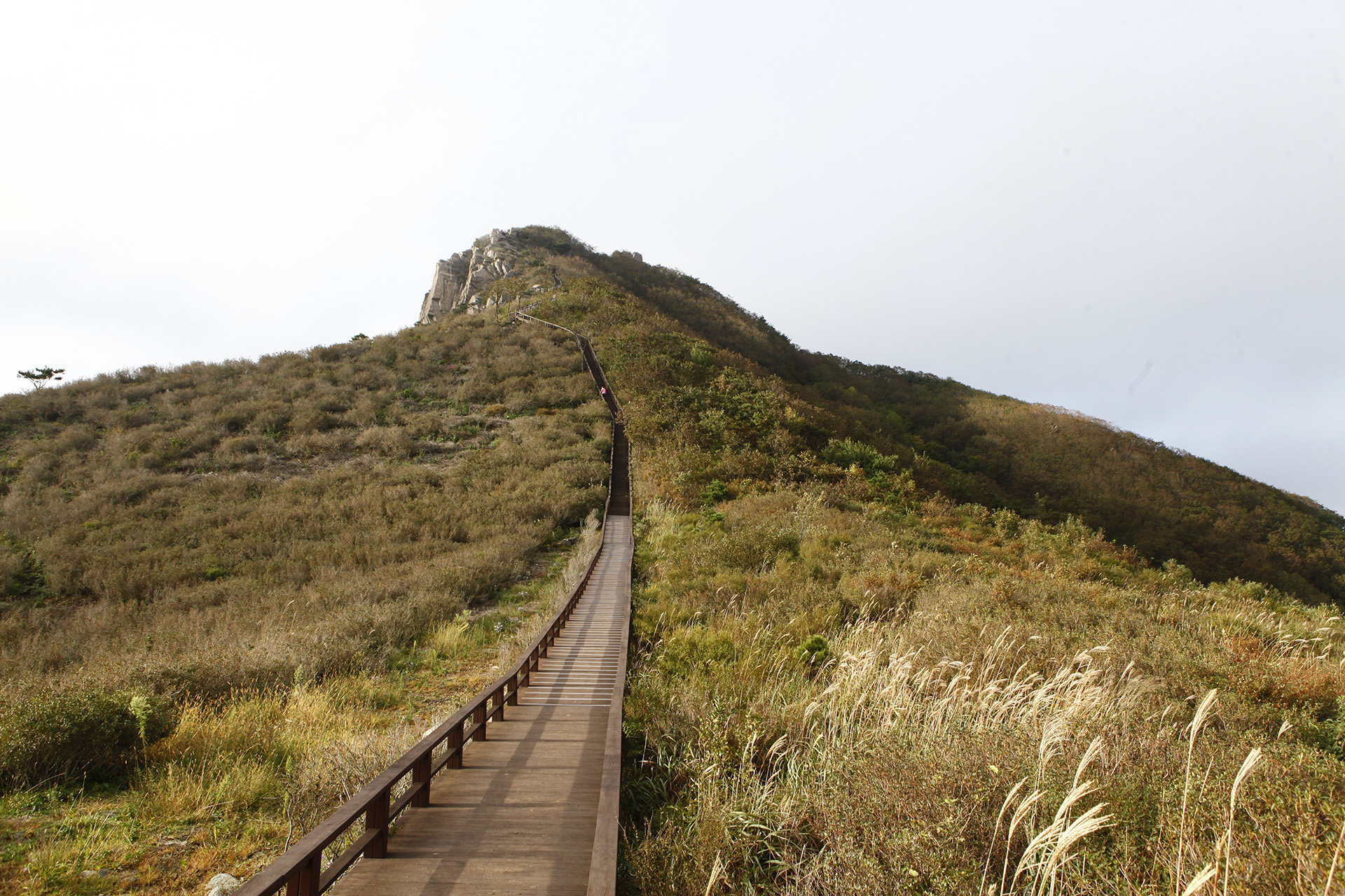 황매산
