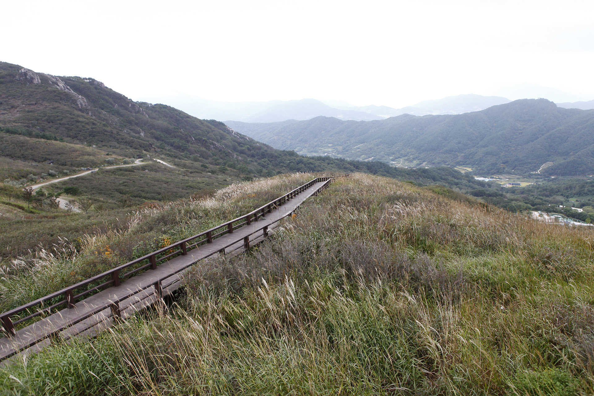 황매산