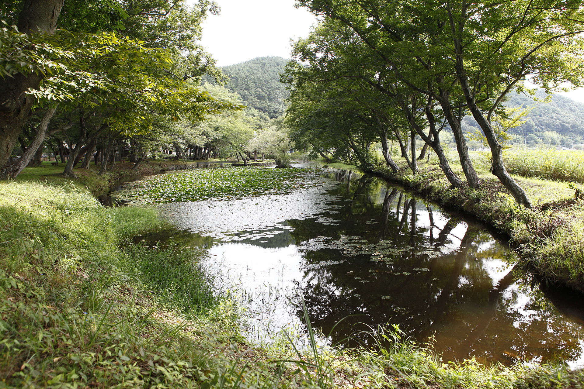 장산숲