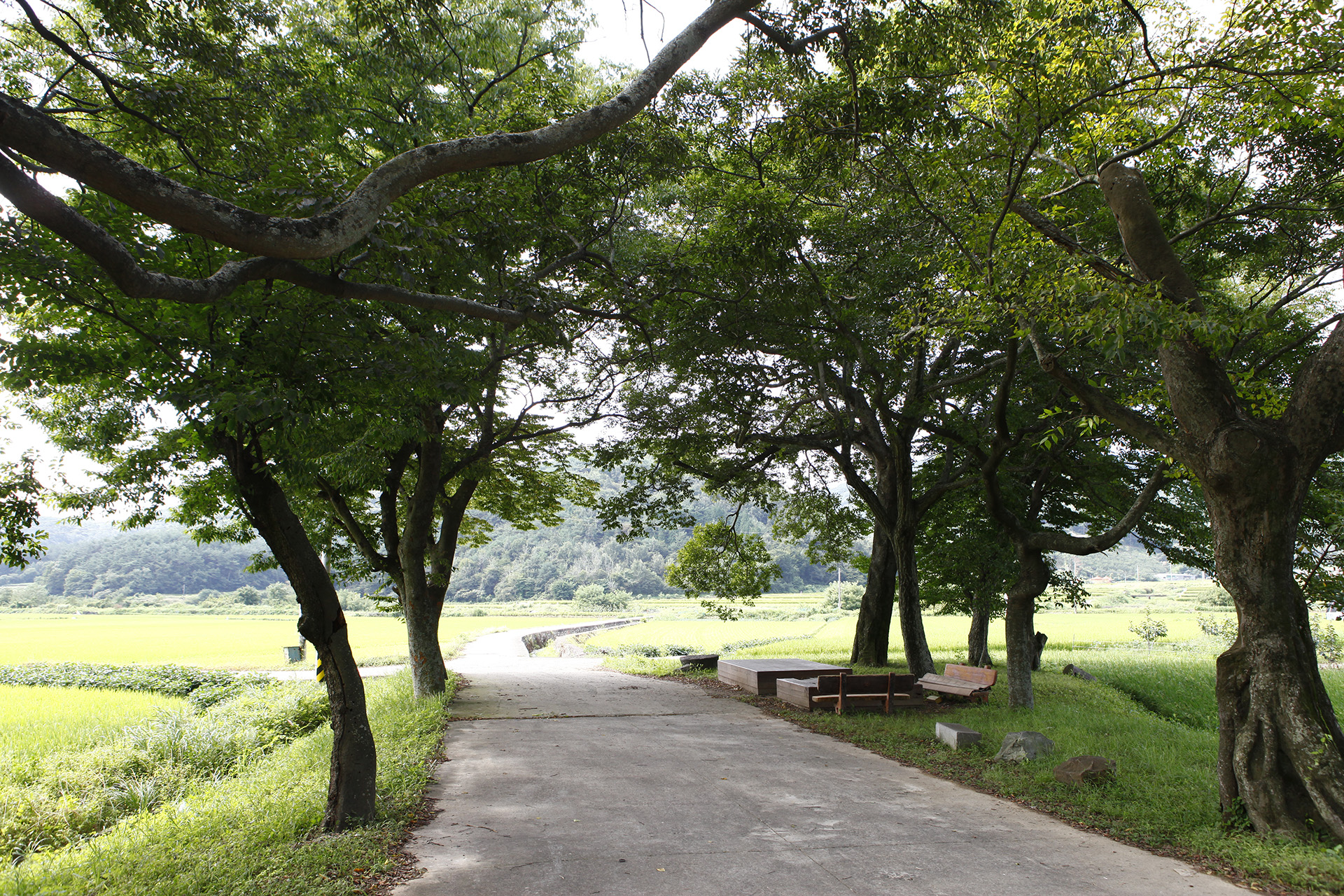 장산숲