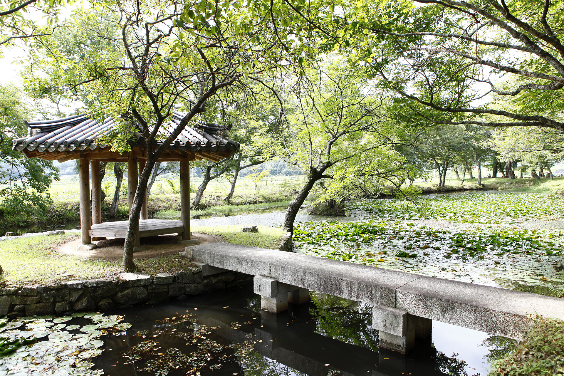 장산숲