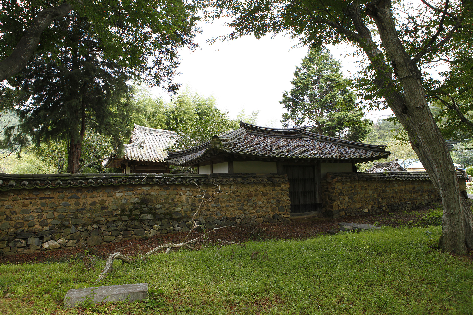 장산숲