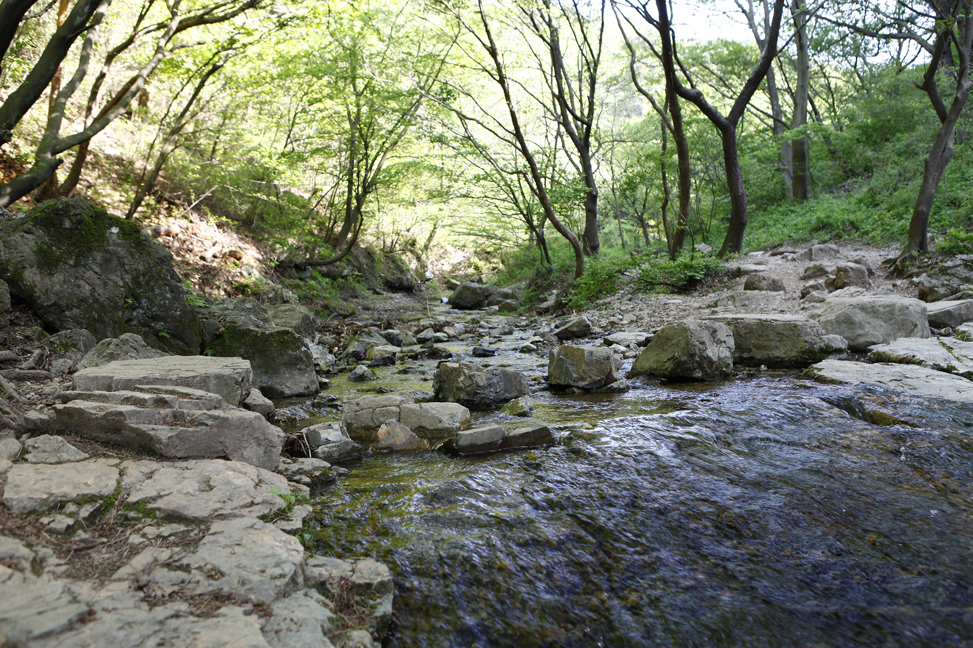 비음산
