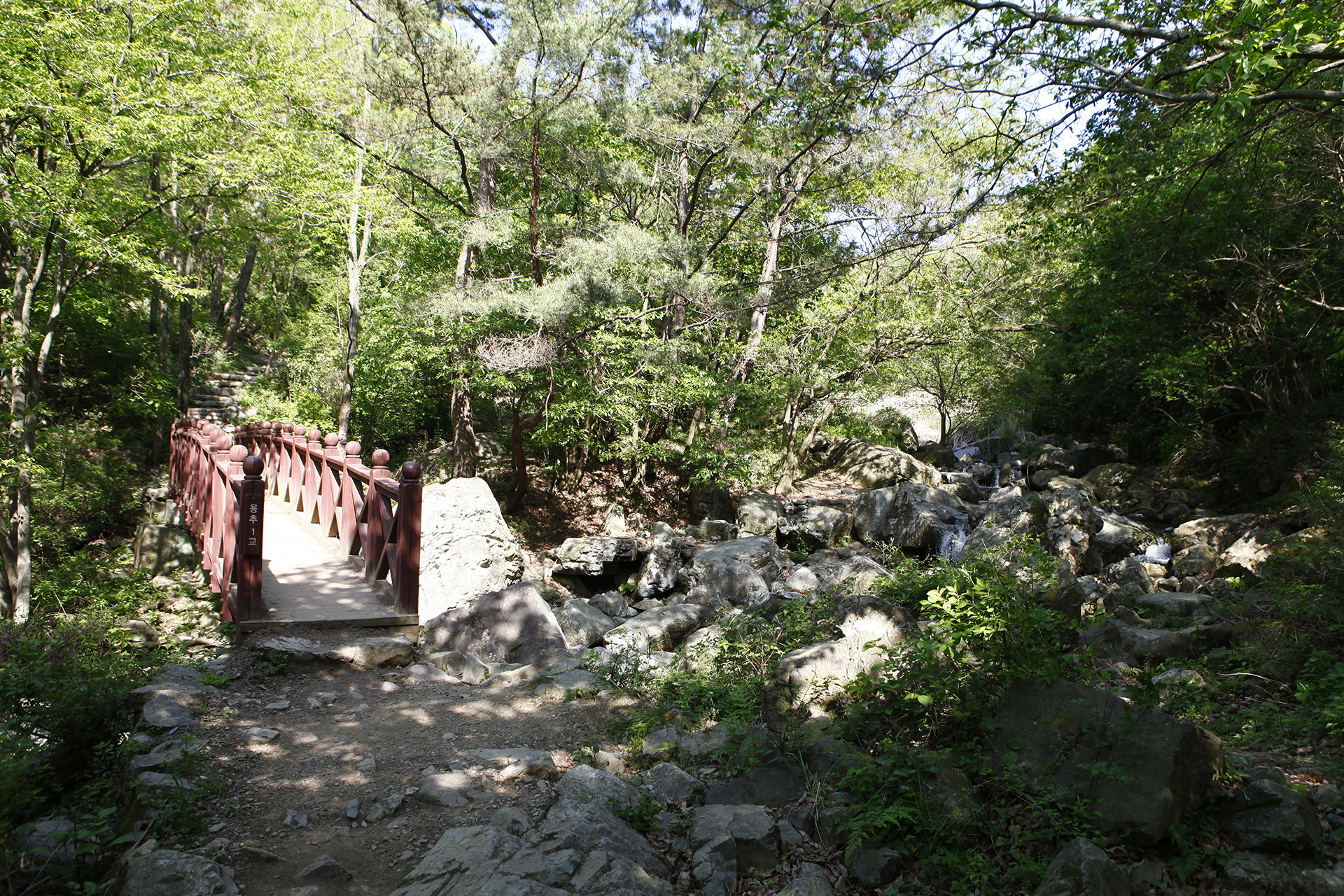 비음산